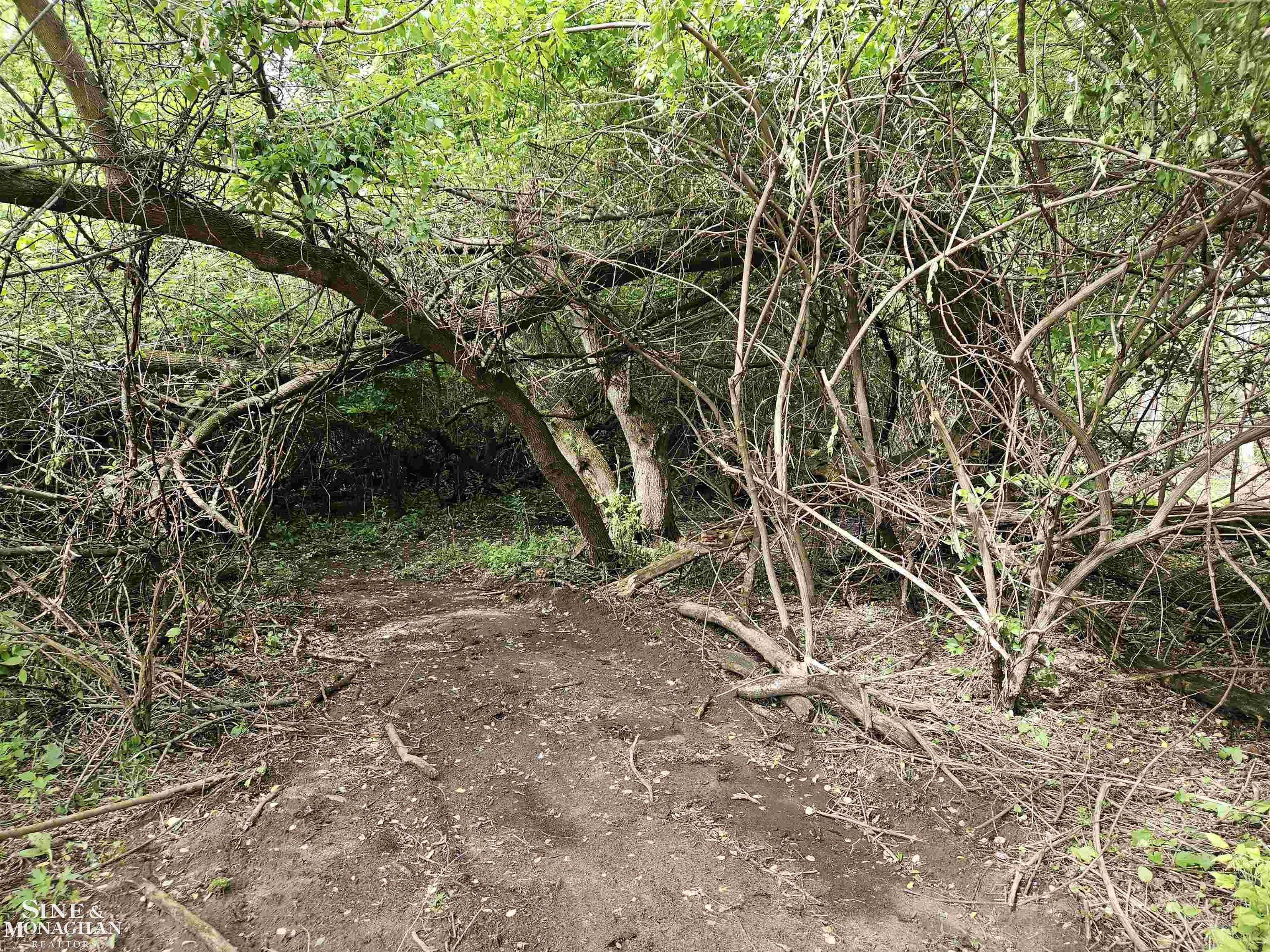 73763 Coon Creek Road Property Photo 4
