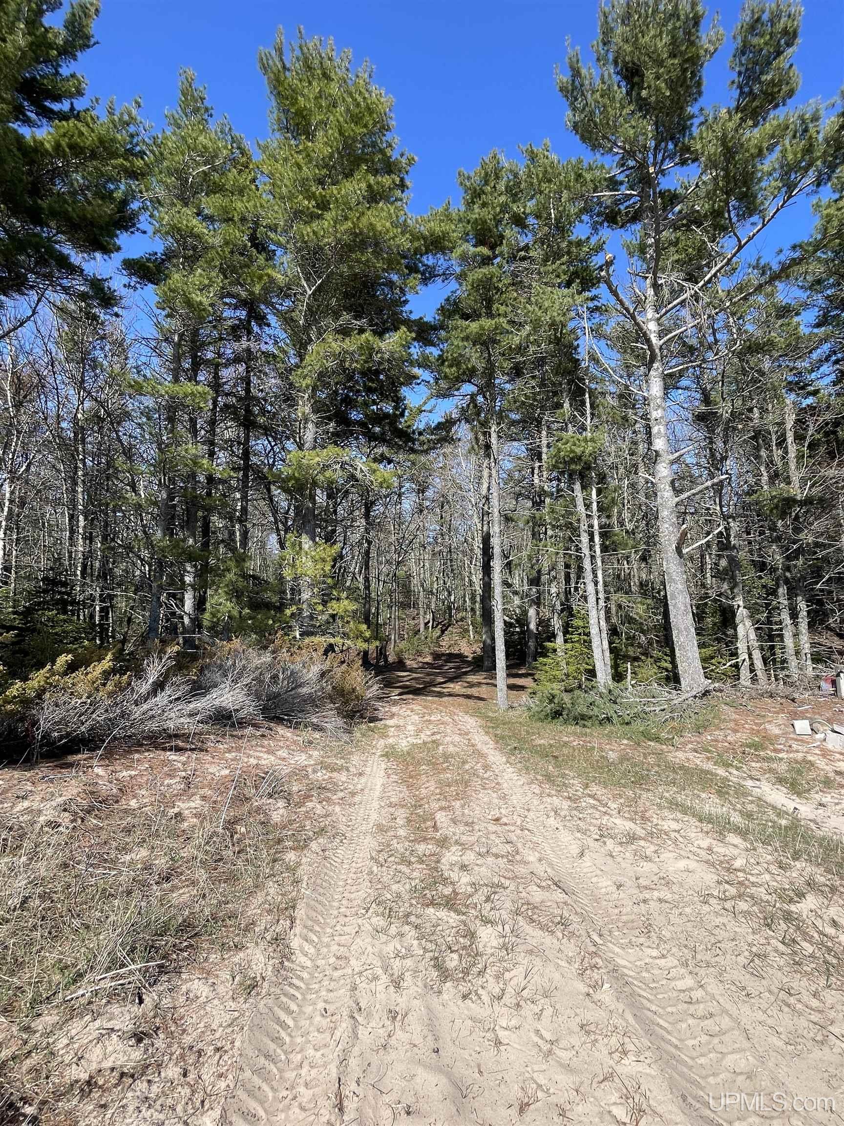 4264 Ff Top O' The Lake Road Property Photo 33