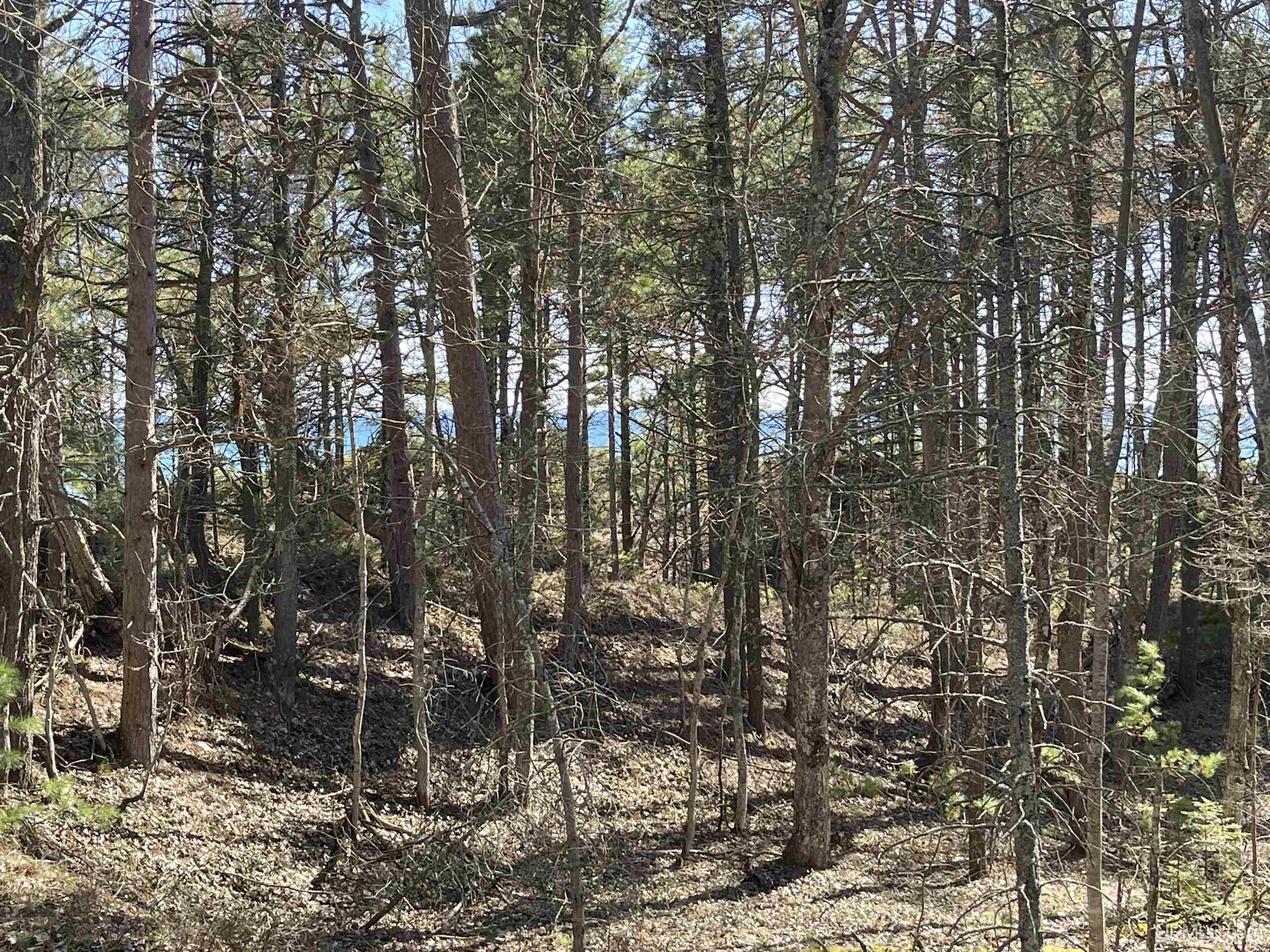 4264 Ff Top O' The Lake Road Property Photo 34
