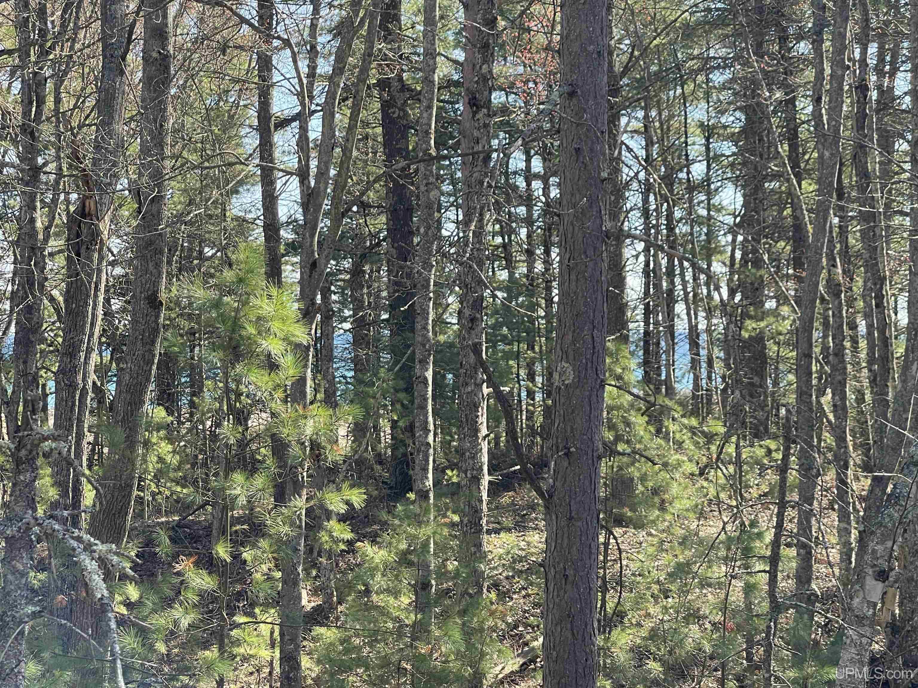 4264 Ff Top O' The Lake Road Property Photo 36