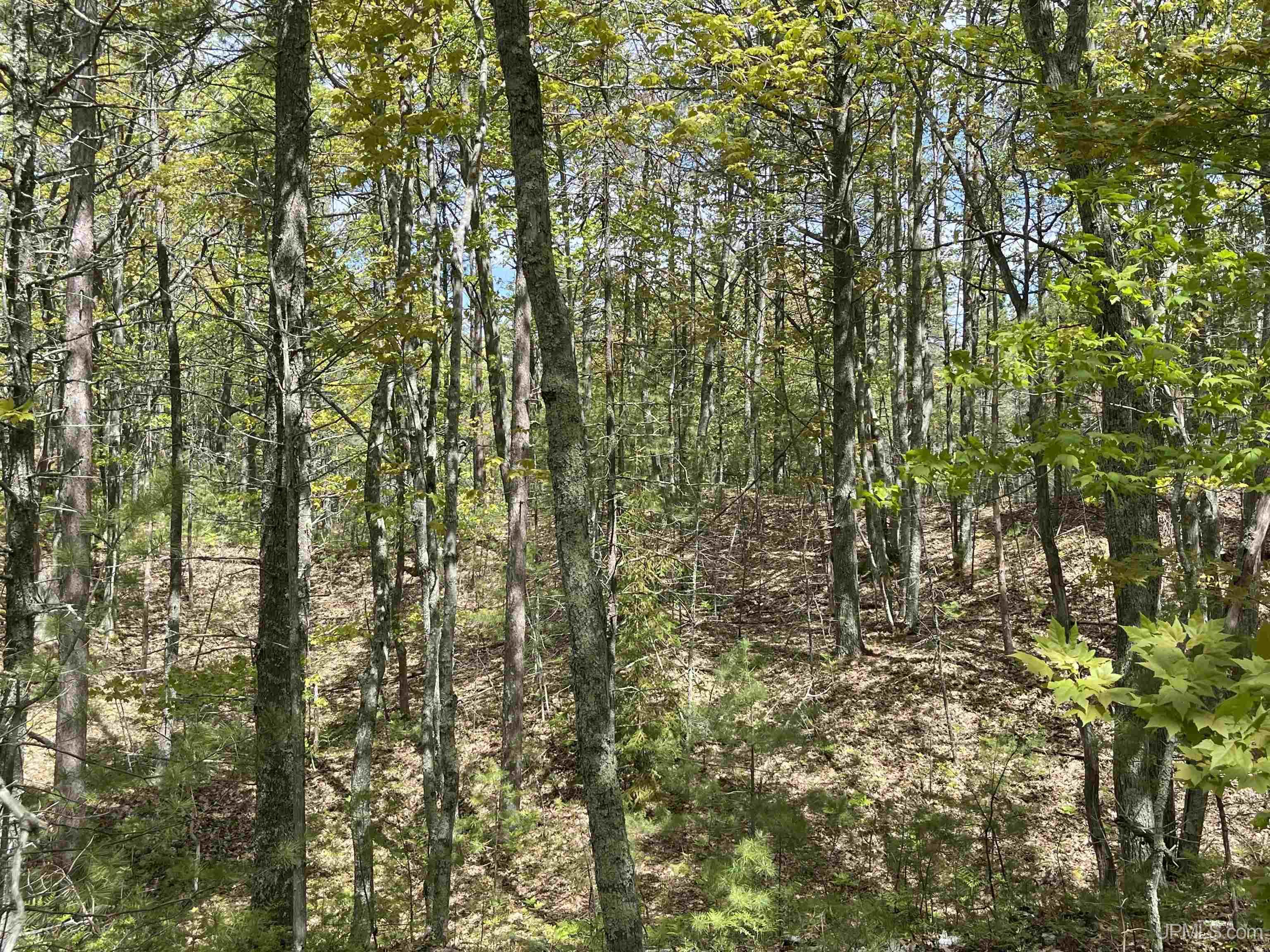 4264 Ff Top O' The Lake Road Property Photo 47