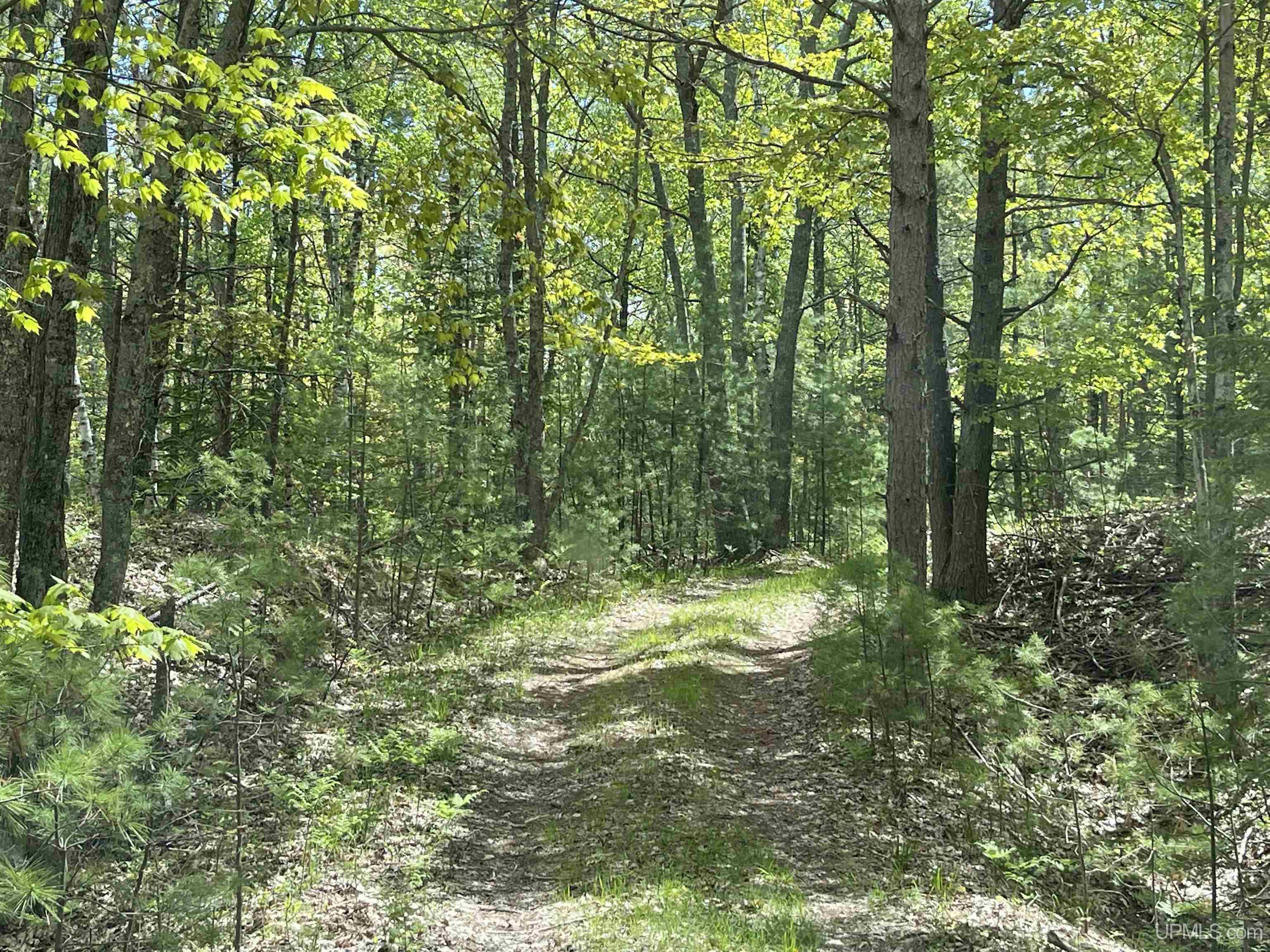 4264 Ff Top O' The Lake Road Property Photo 49