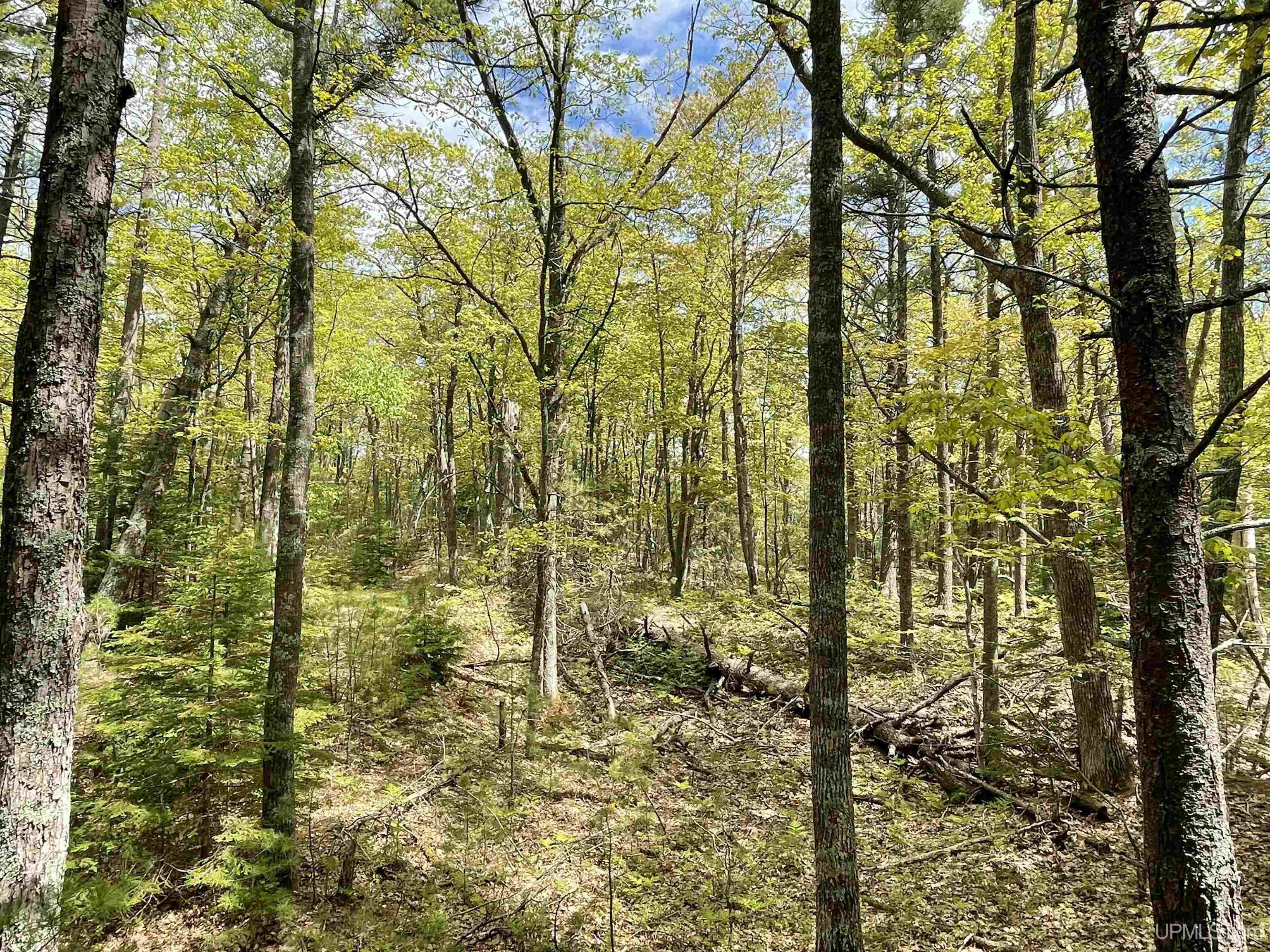 4264 Ff Top O' The Lake Road Property Photo 52