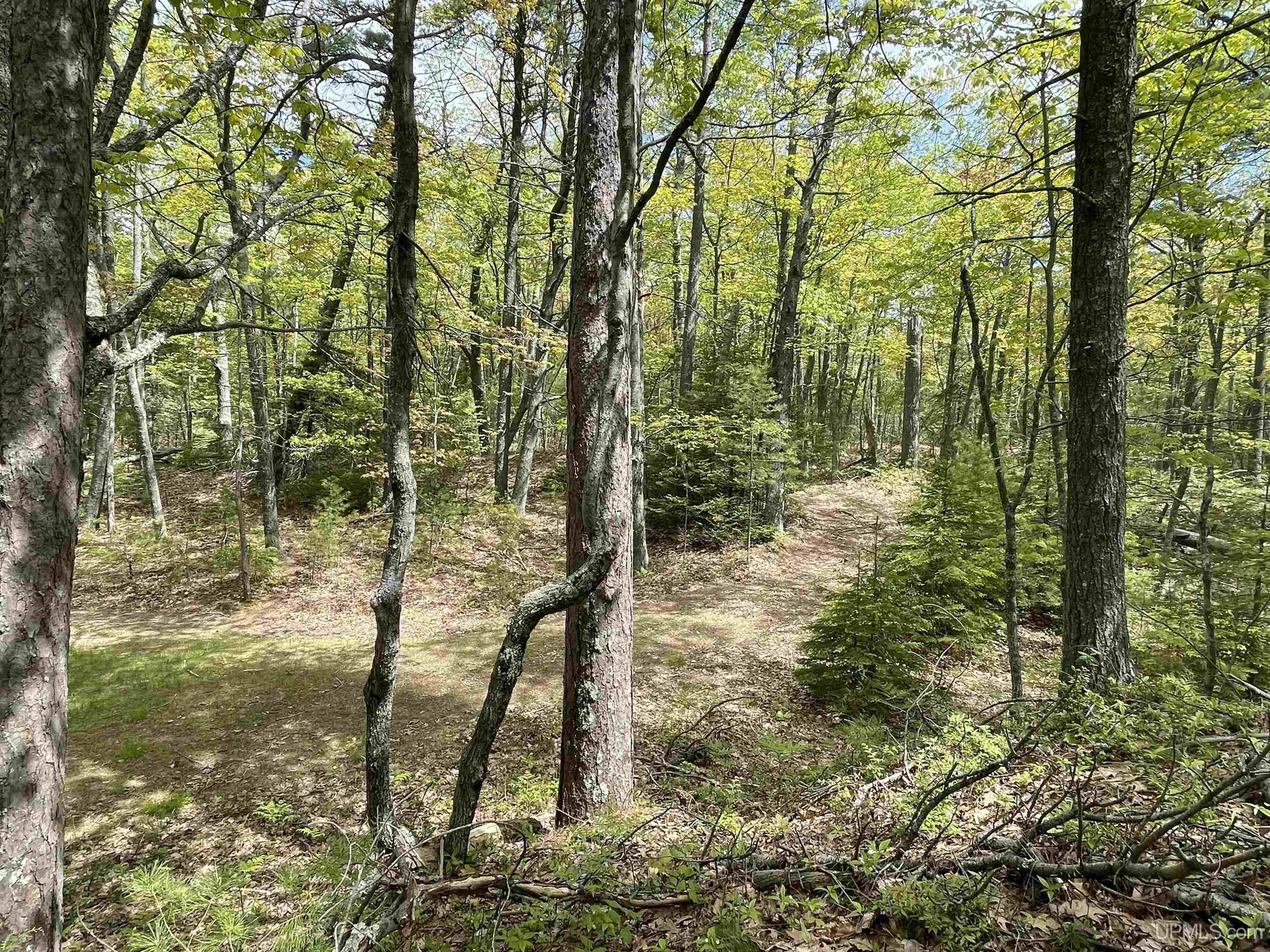 4264 Ff Top O' The Lake Road Property Photo 53