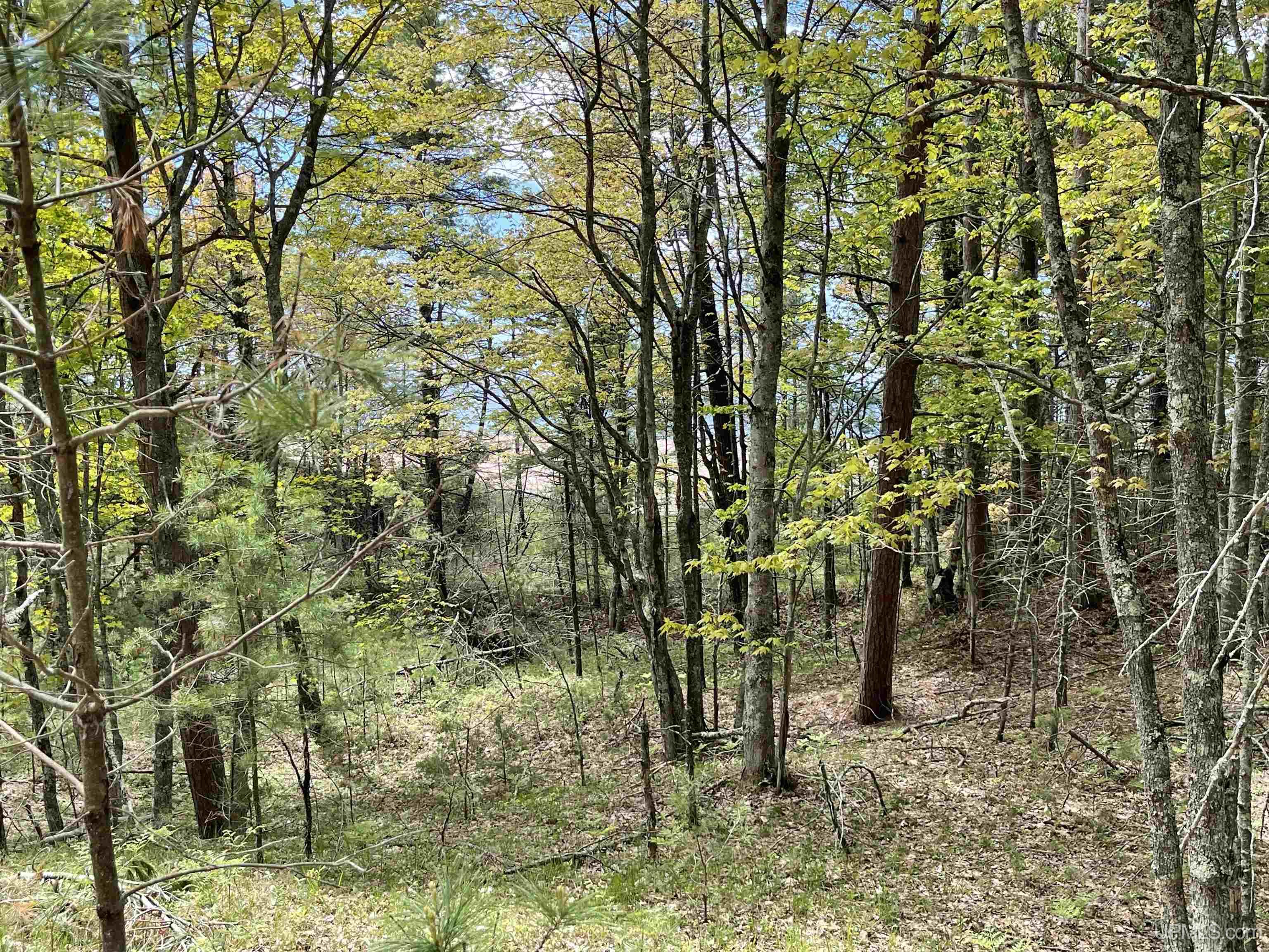 4264 Ff Top O' The Lake Road Property Photo 77