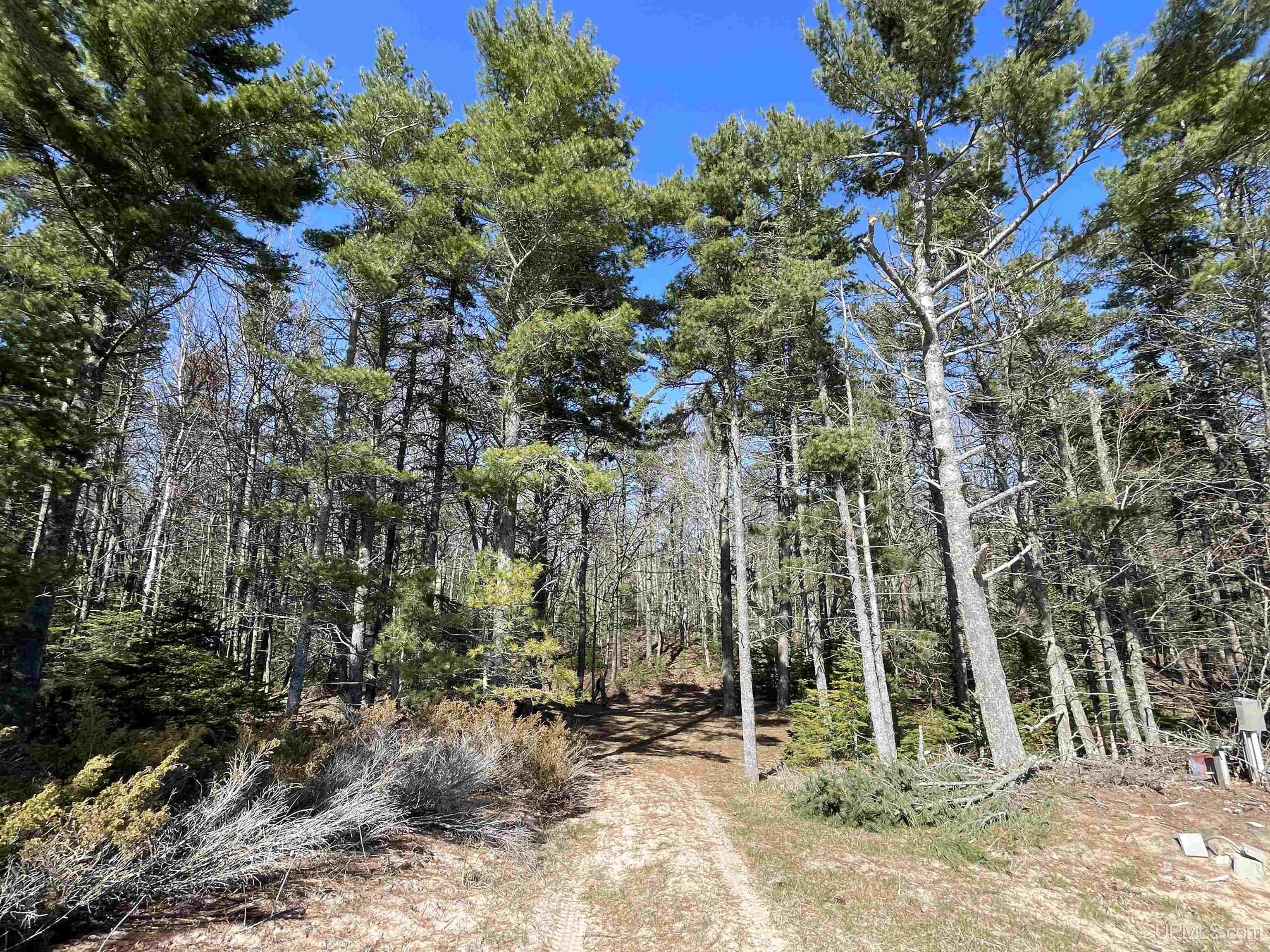 1396 Ff Top O' The Lake Road Property Photo 12