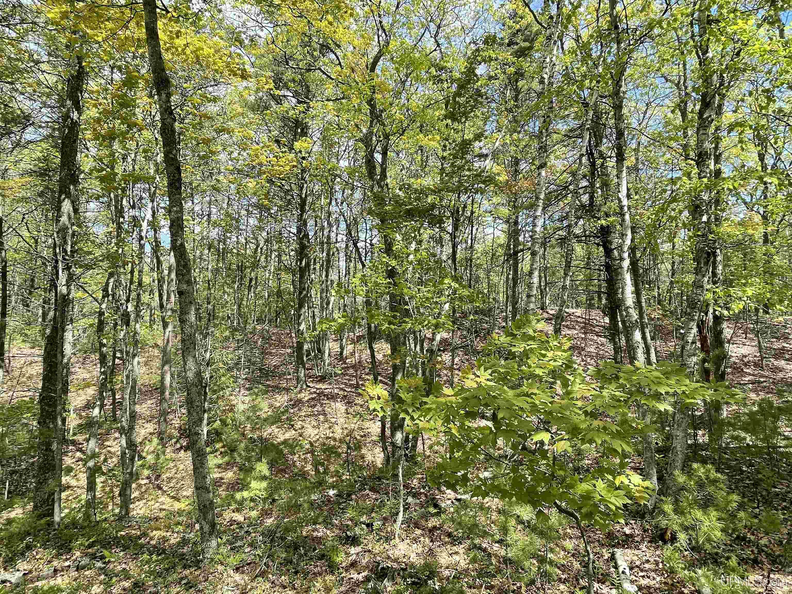 1396 Ff Top O' The Lake Road Property Photo 18