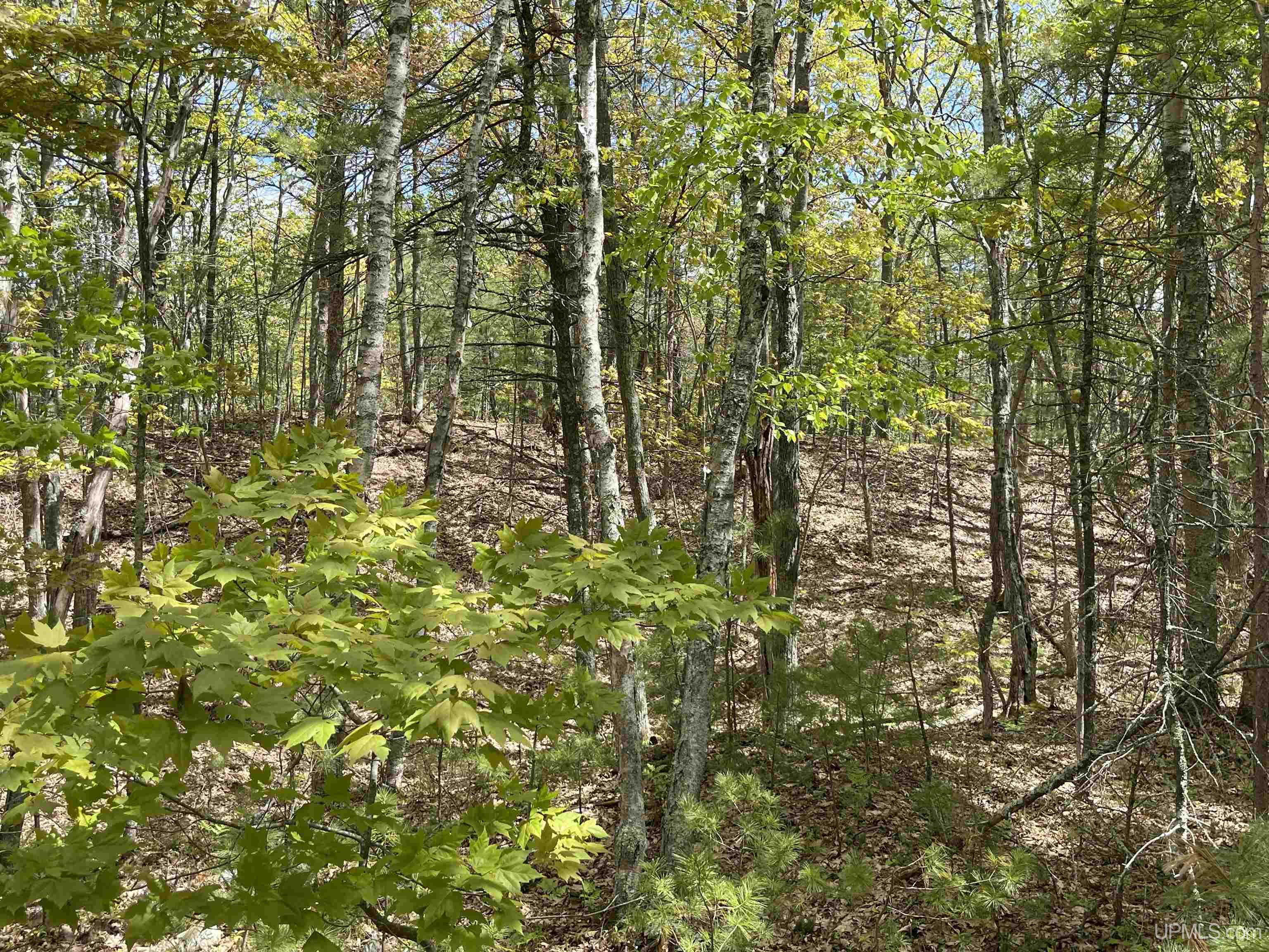 1396 Ff Top O' The Lake Road Property Photo 19