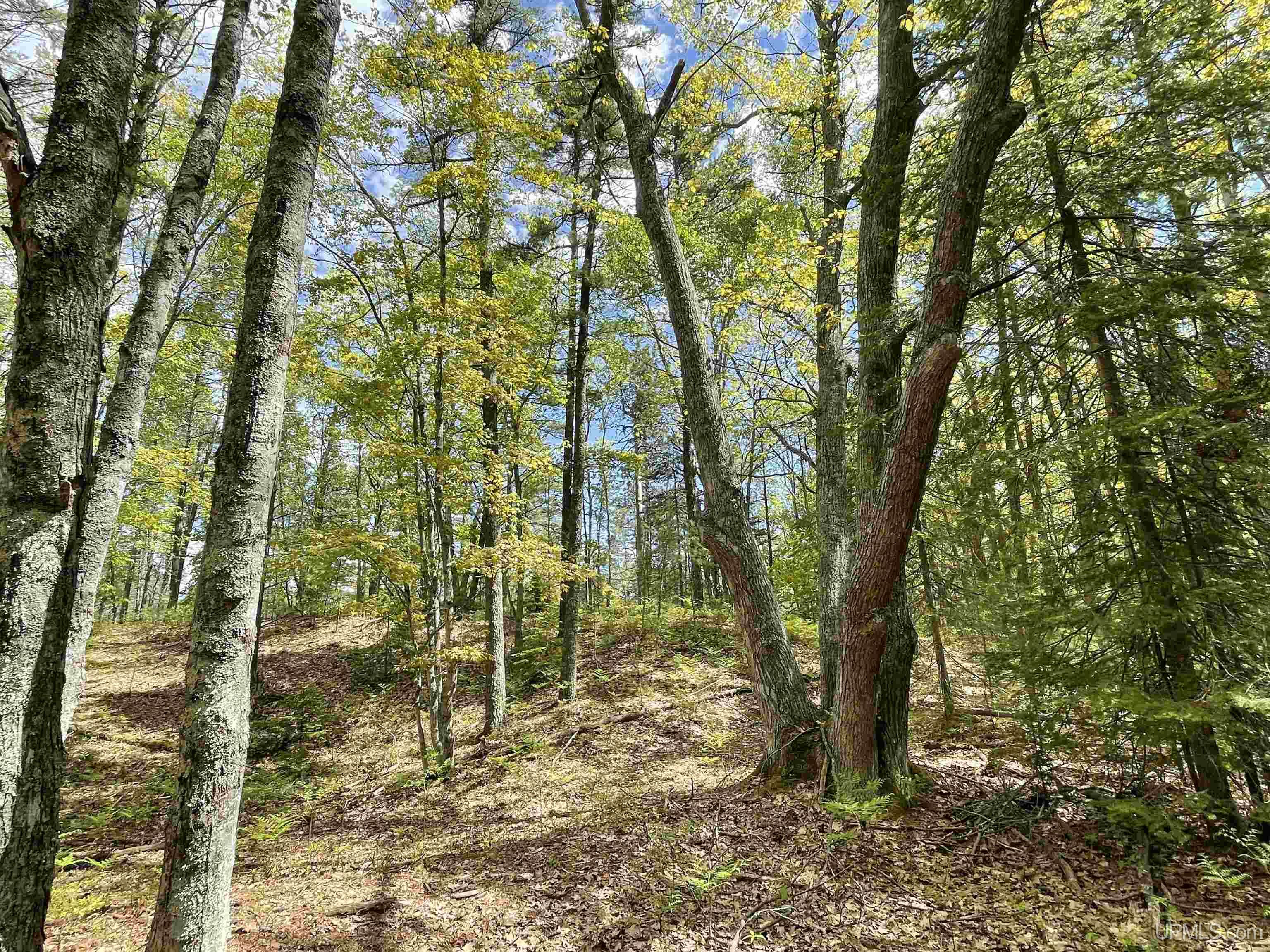 1396 Ff Top O' The Lake Road Property Photo 20