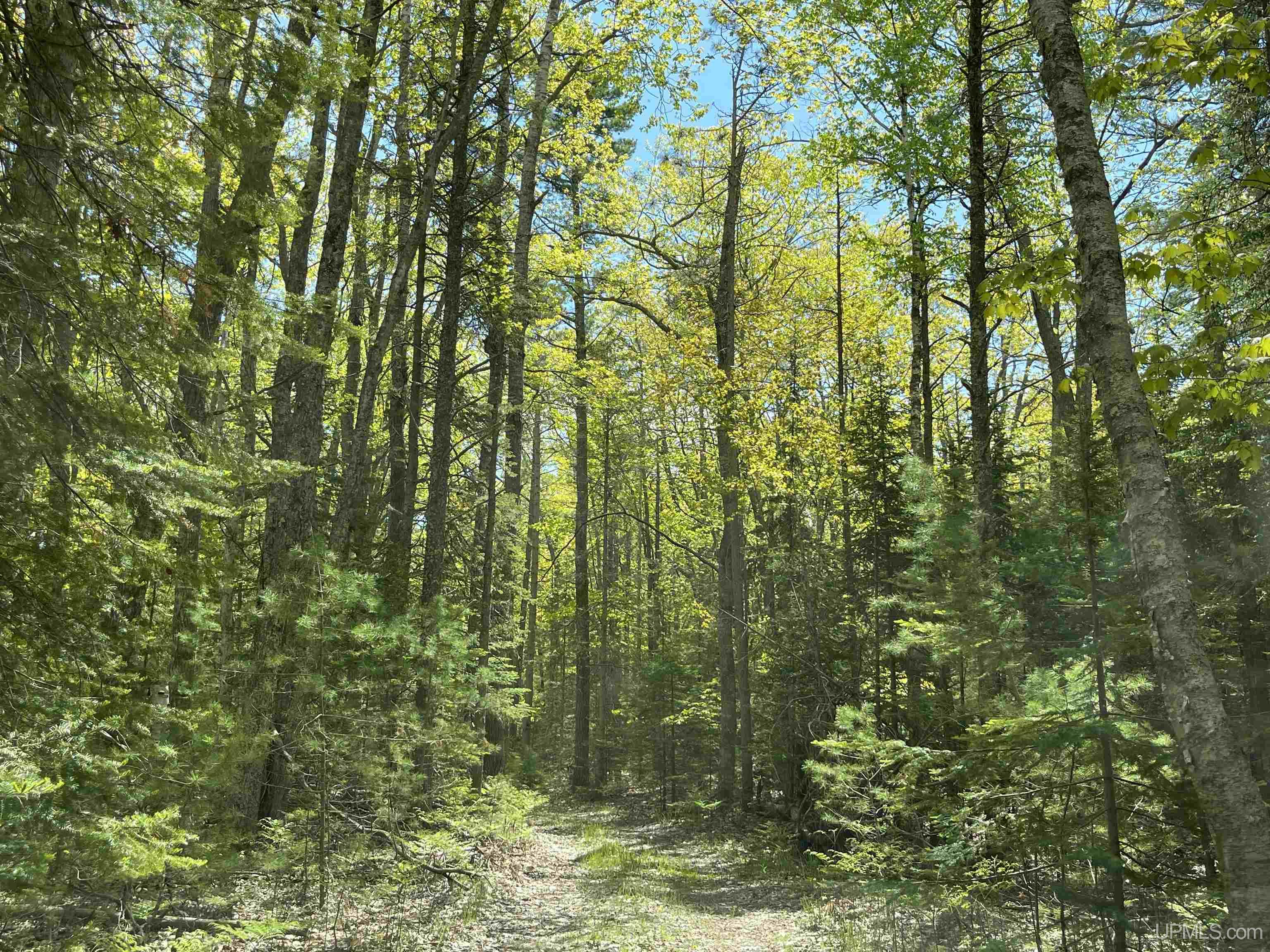 1396 Ff Top O' The Lake Road Property Photo 21