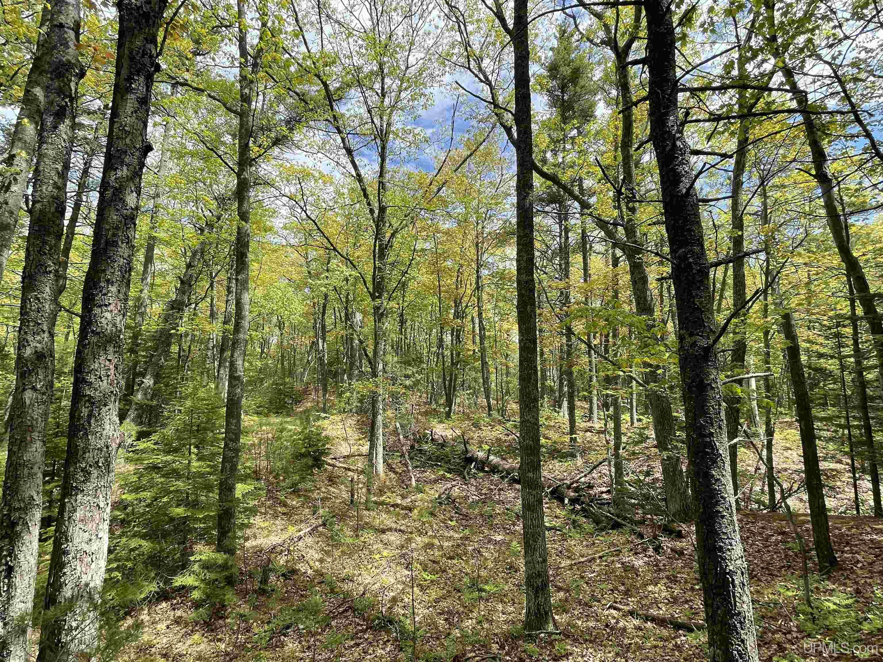 1396 Ff Top O' The Lake Road Property Photo 22