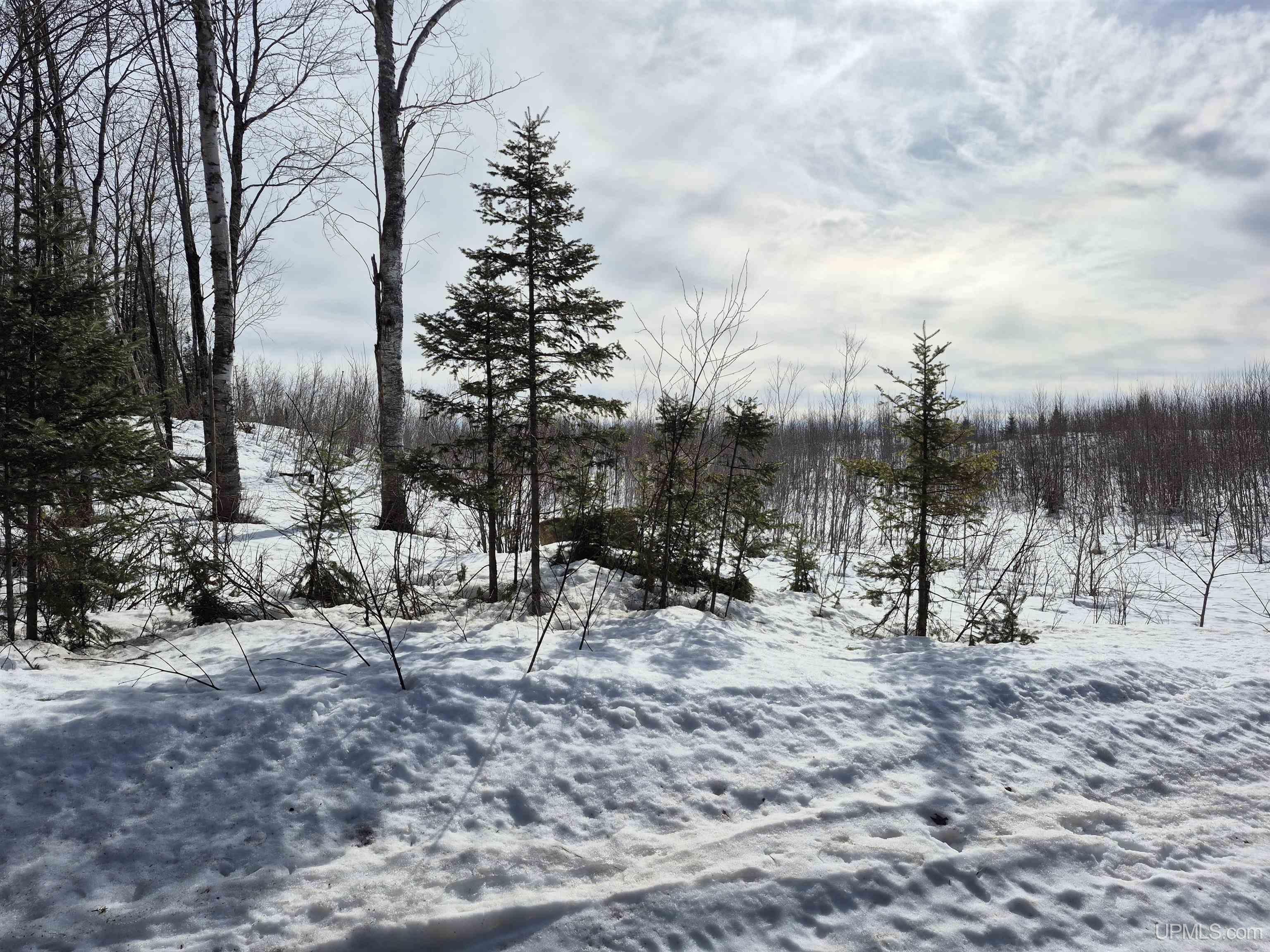 North 20 Acres 18 Road Property Photo 2