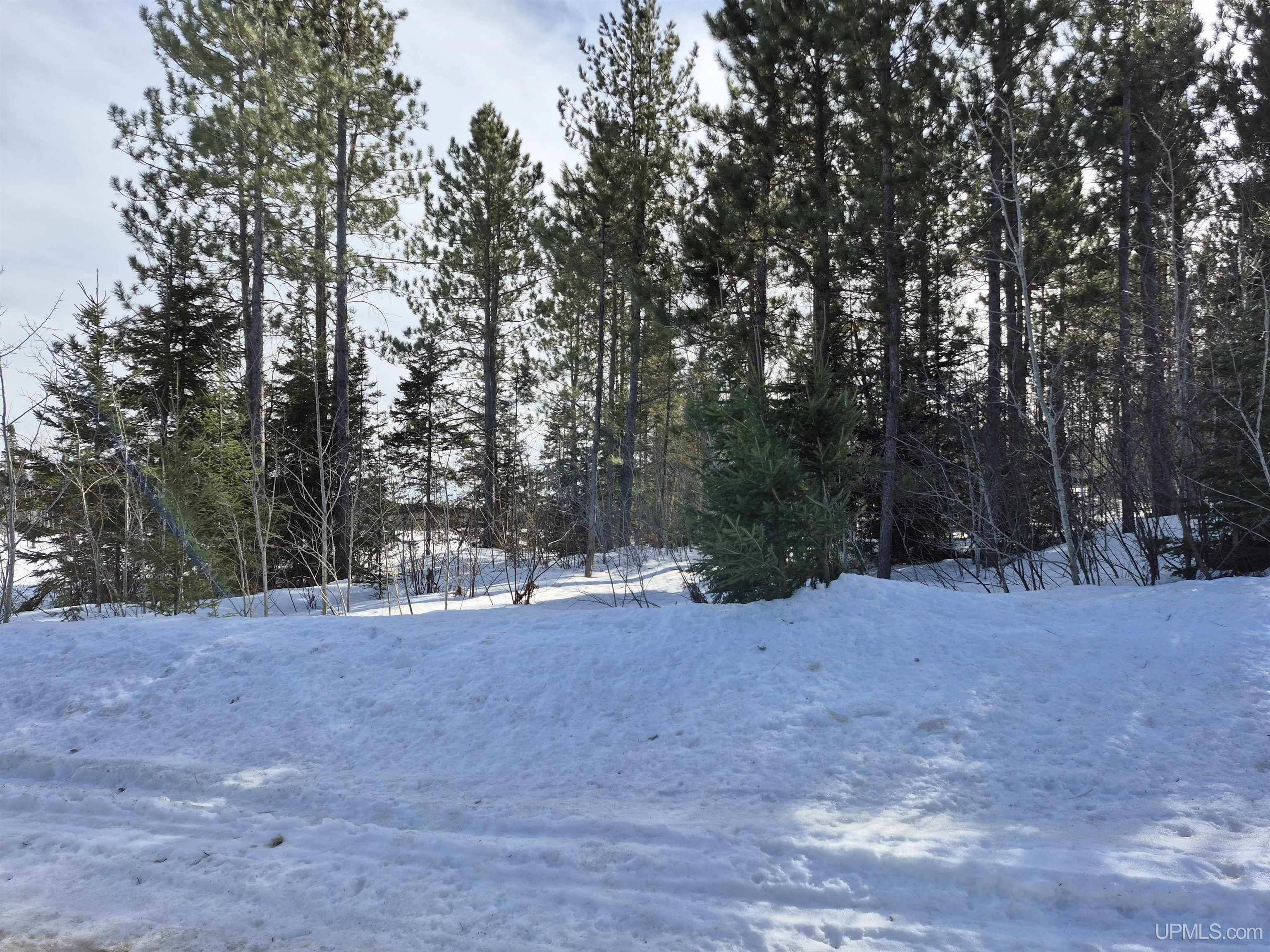 North 20 Acres 18 Road Property Photo 18