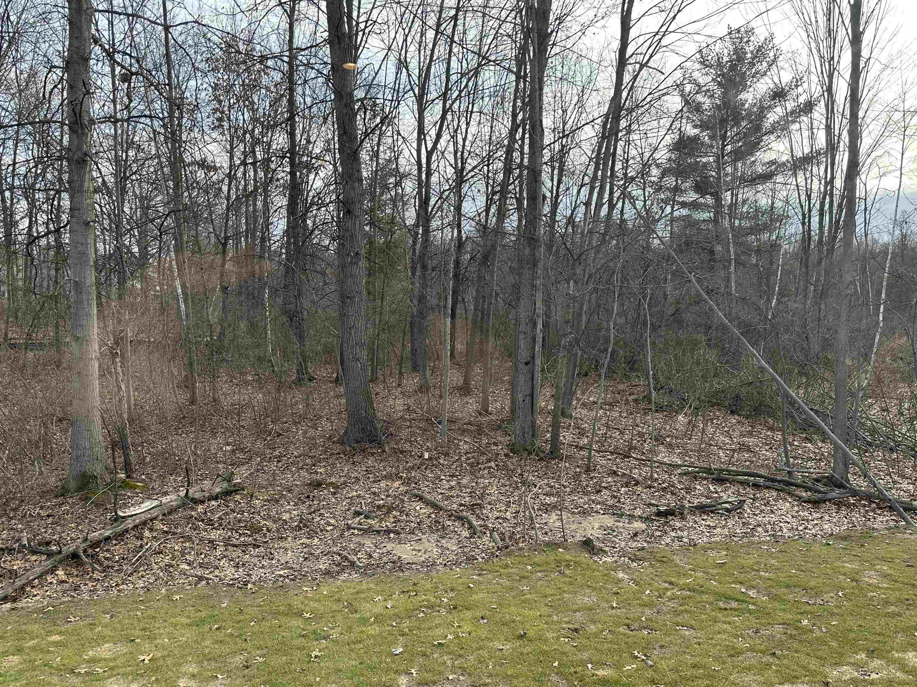 5541 Forestridge Way Property Photo 3