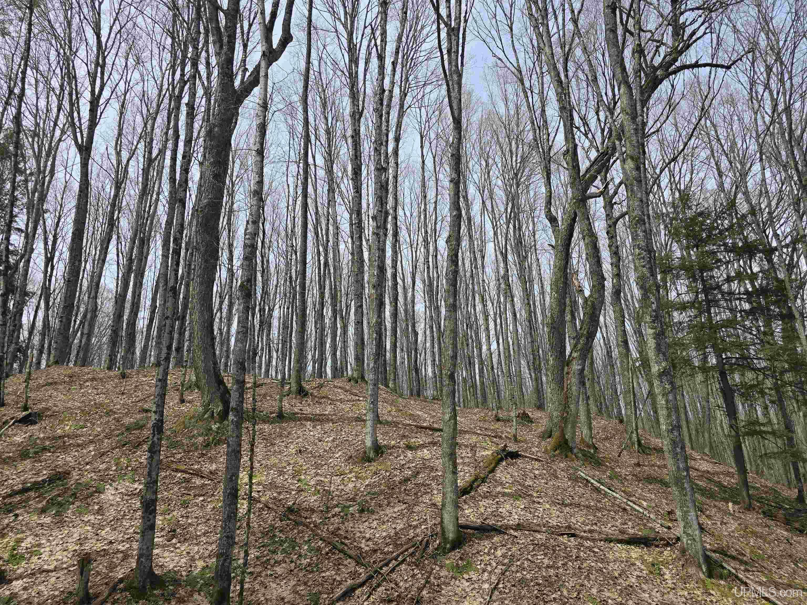 Tbd Orange Road Property Photo 8