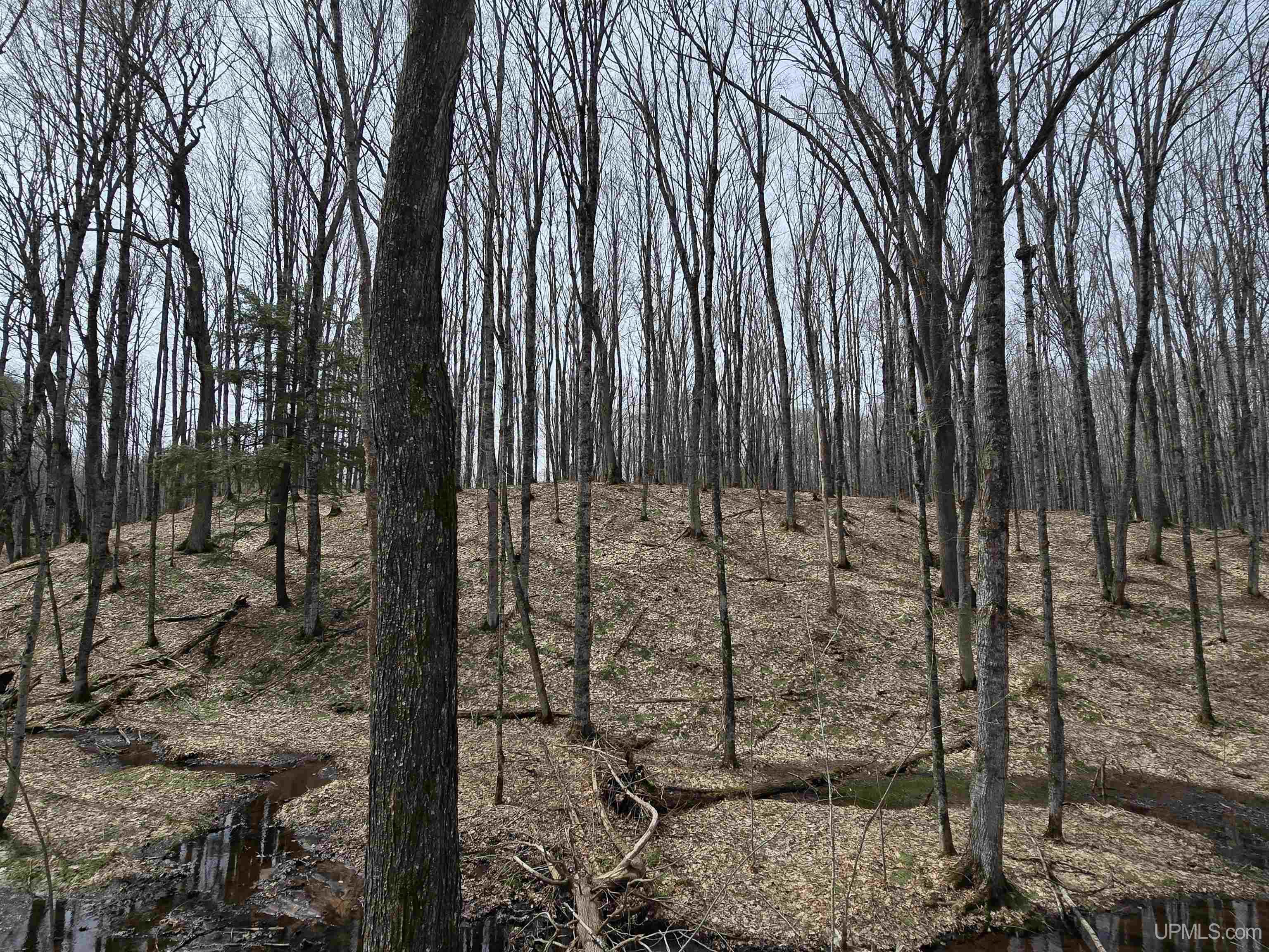 Tbd Orange Road Property Photo 14