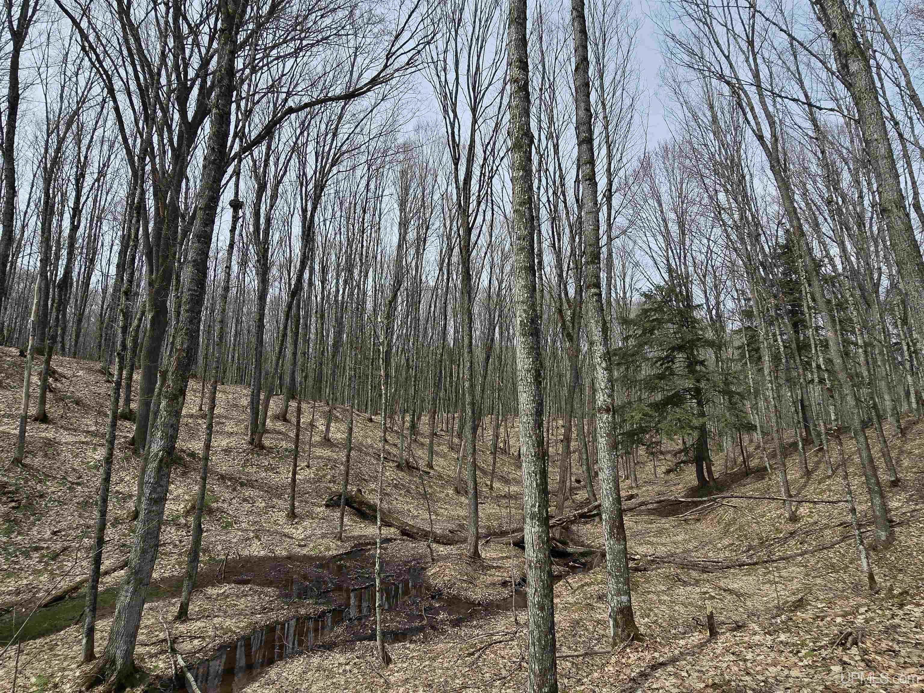 Tbd Orange Road Property Photo 15