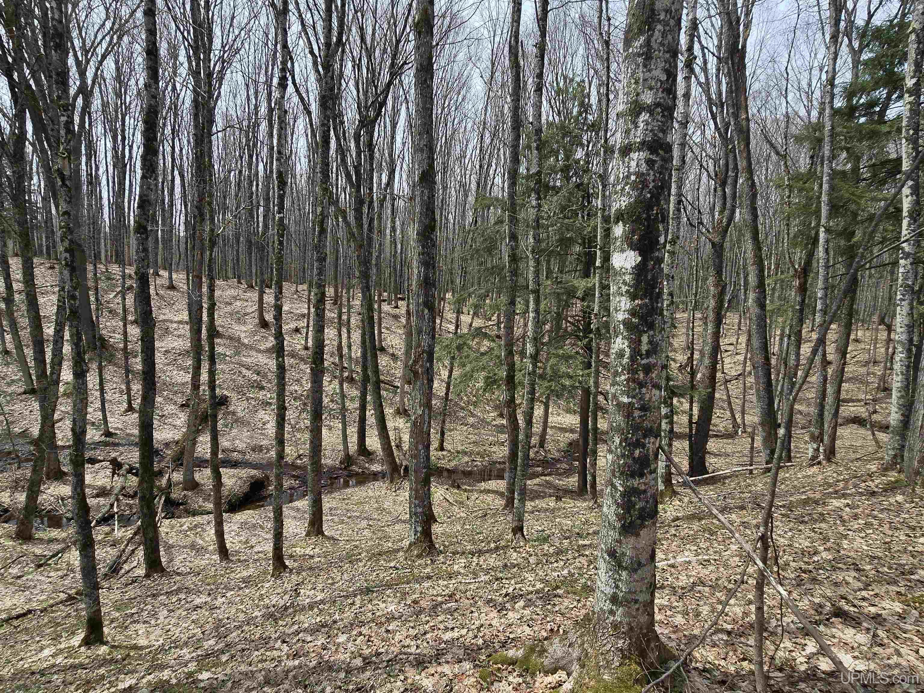 Tbd Orange Road Property Photo 16