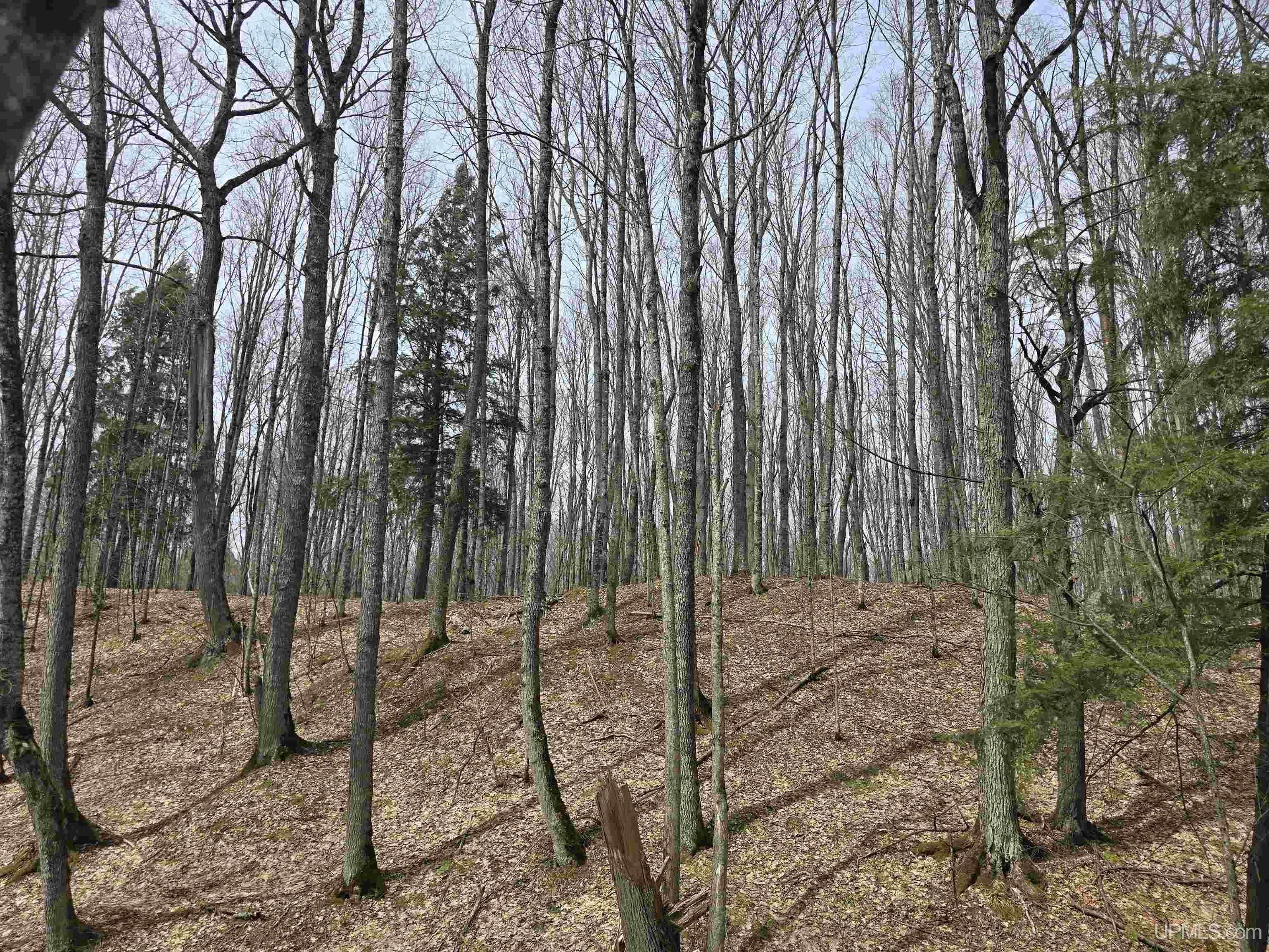 Tbd Orange Road Property Photo 17