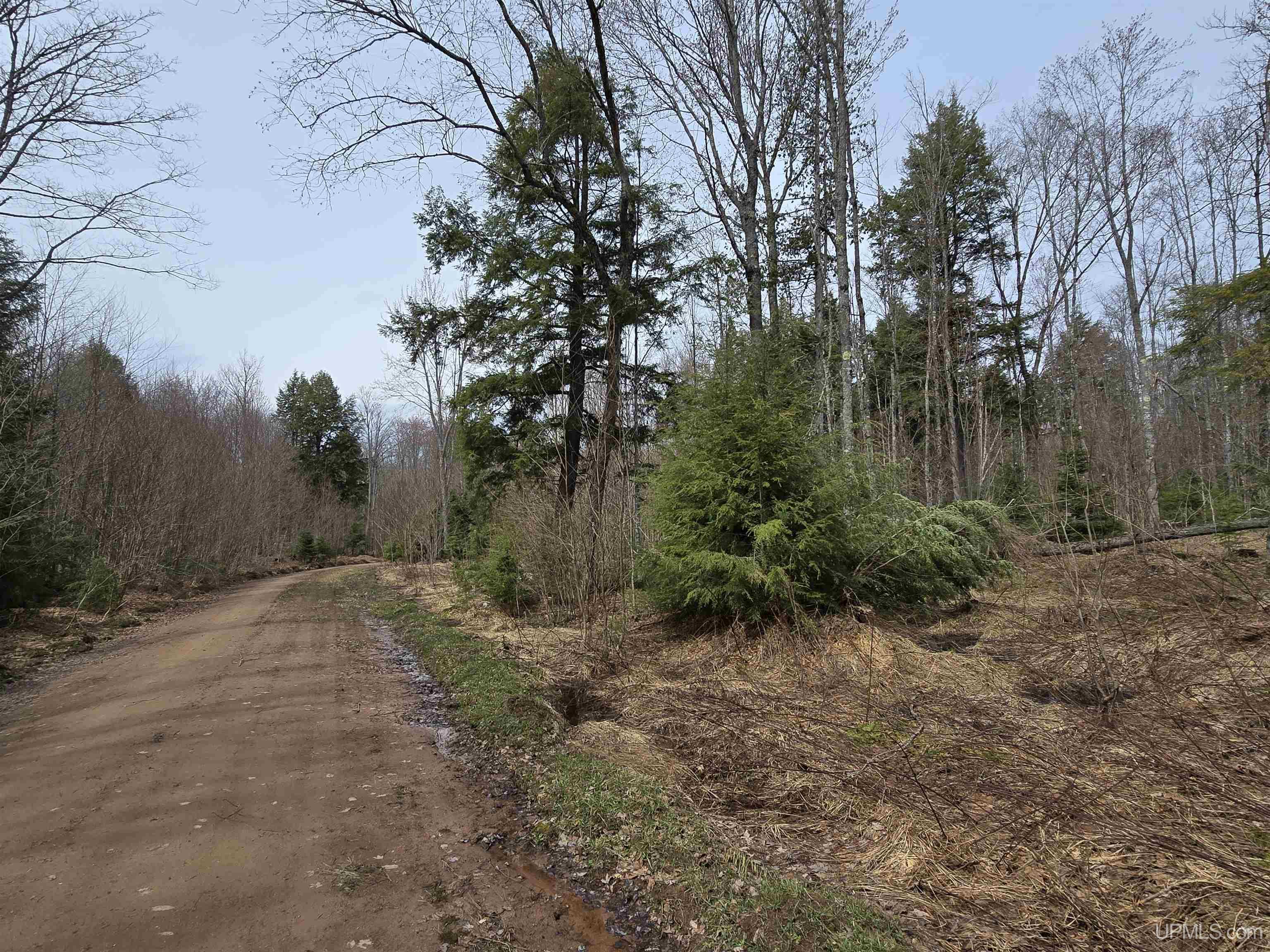 Tbd Orange Road Property Photo 18