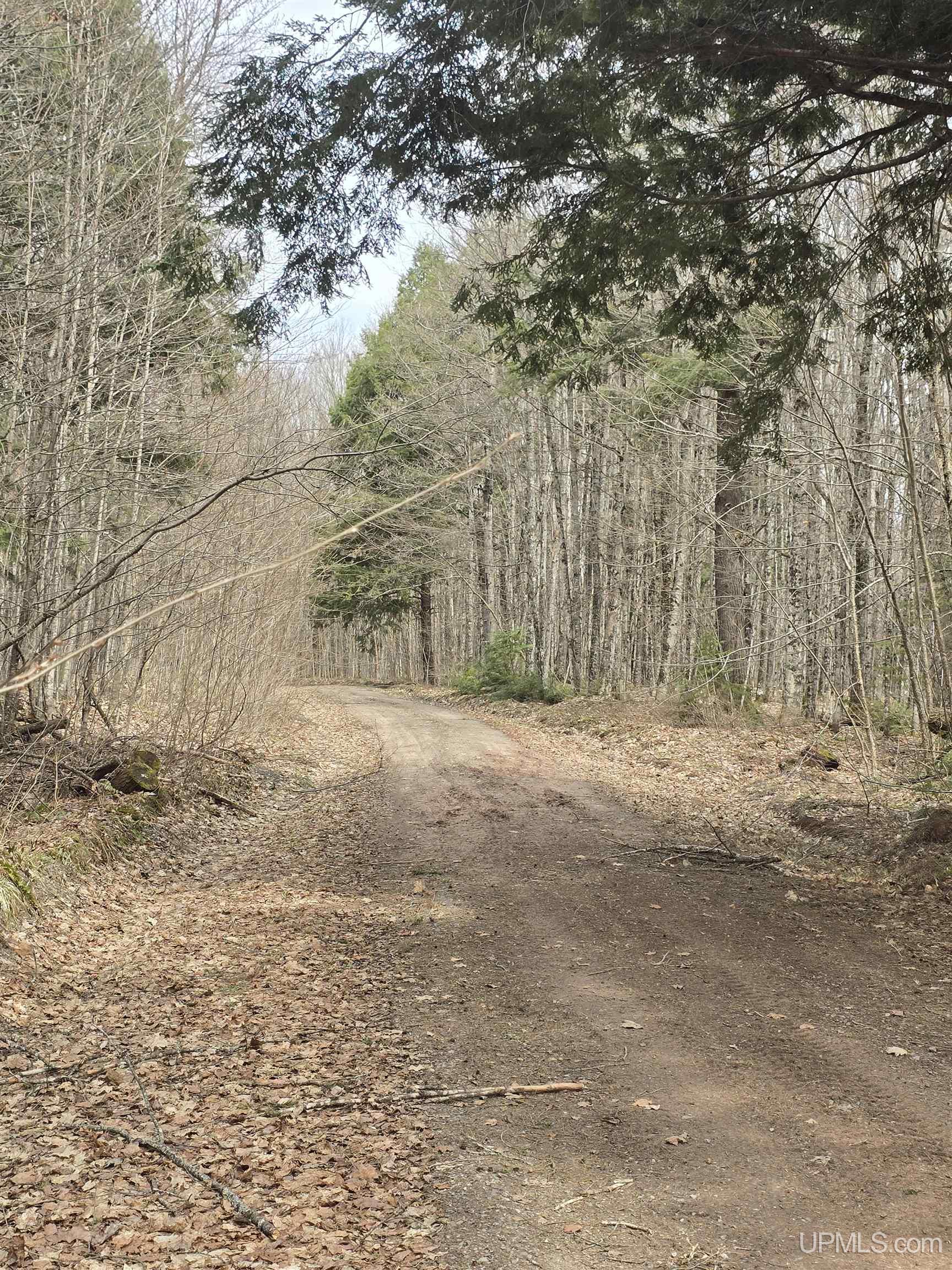 Tbd Orange Road Property Photo 19