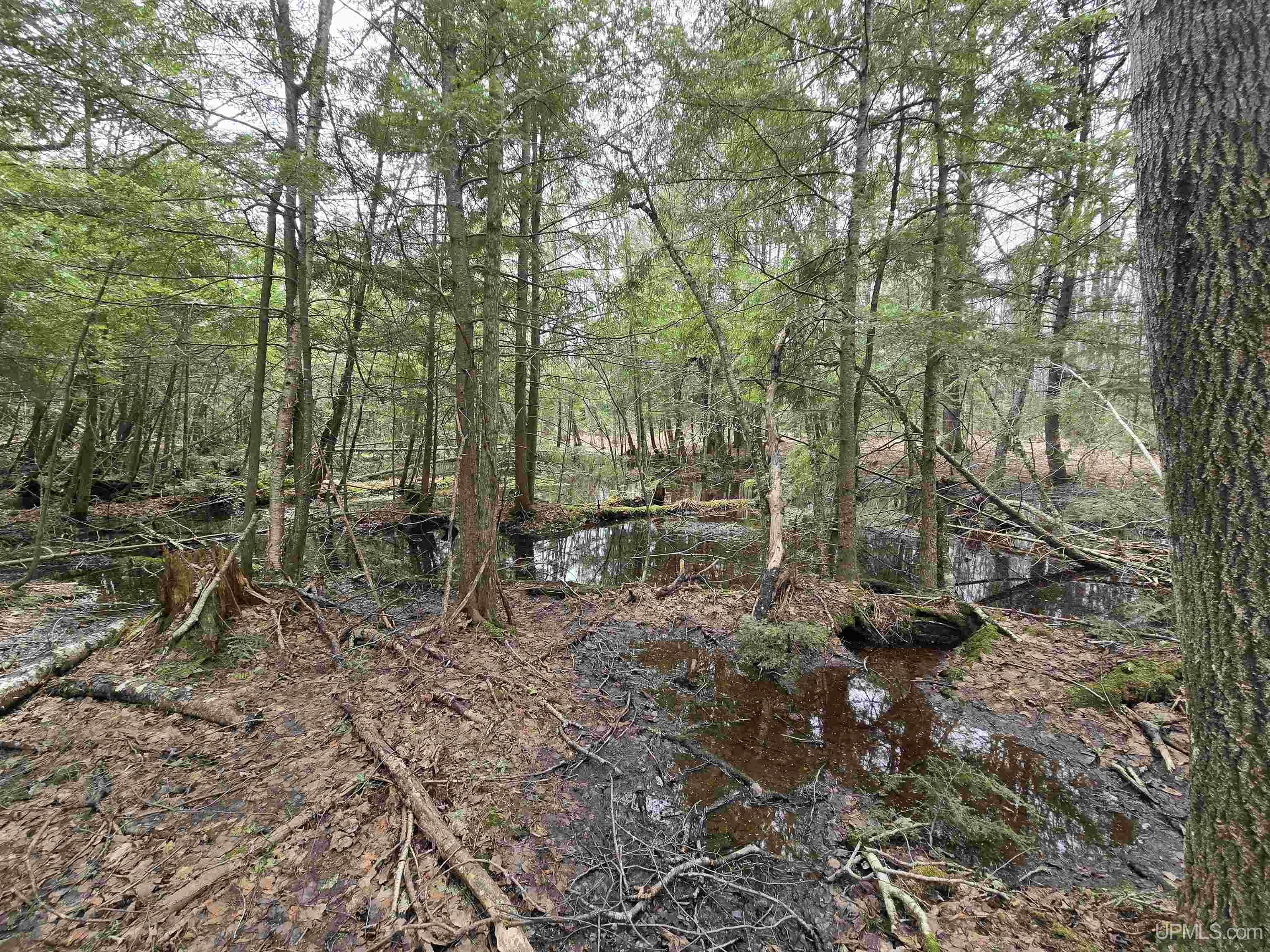 Tbd Orange Road Property Photo 20