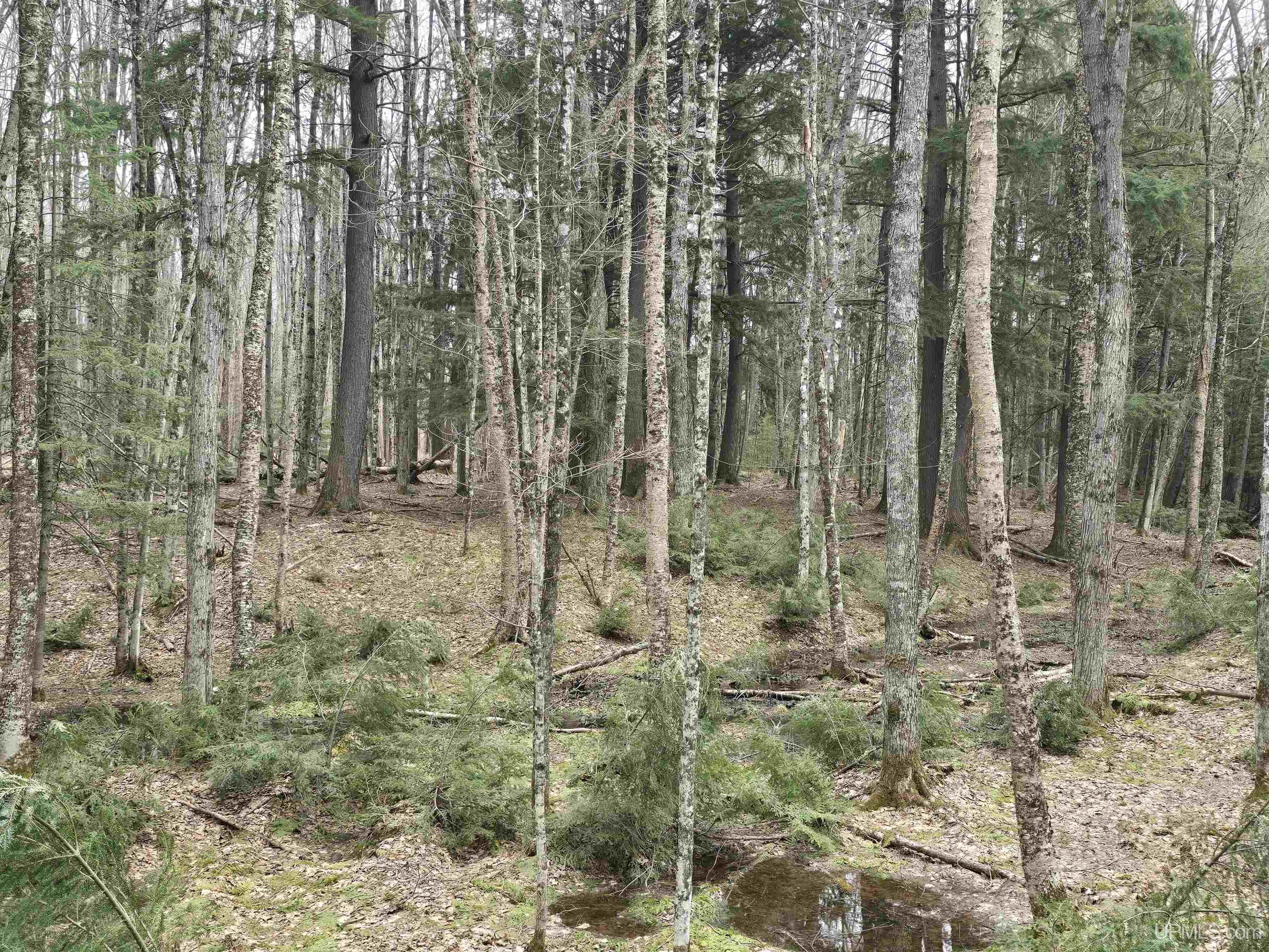 Tbd Orange Road Property Photo 22