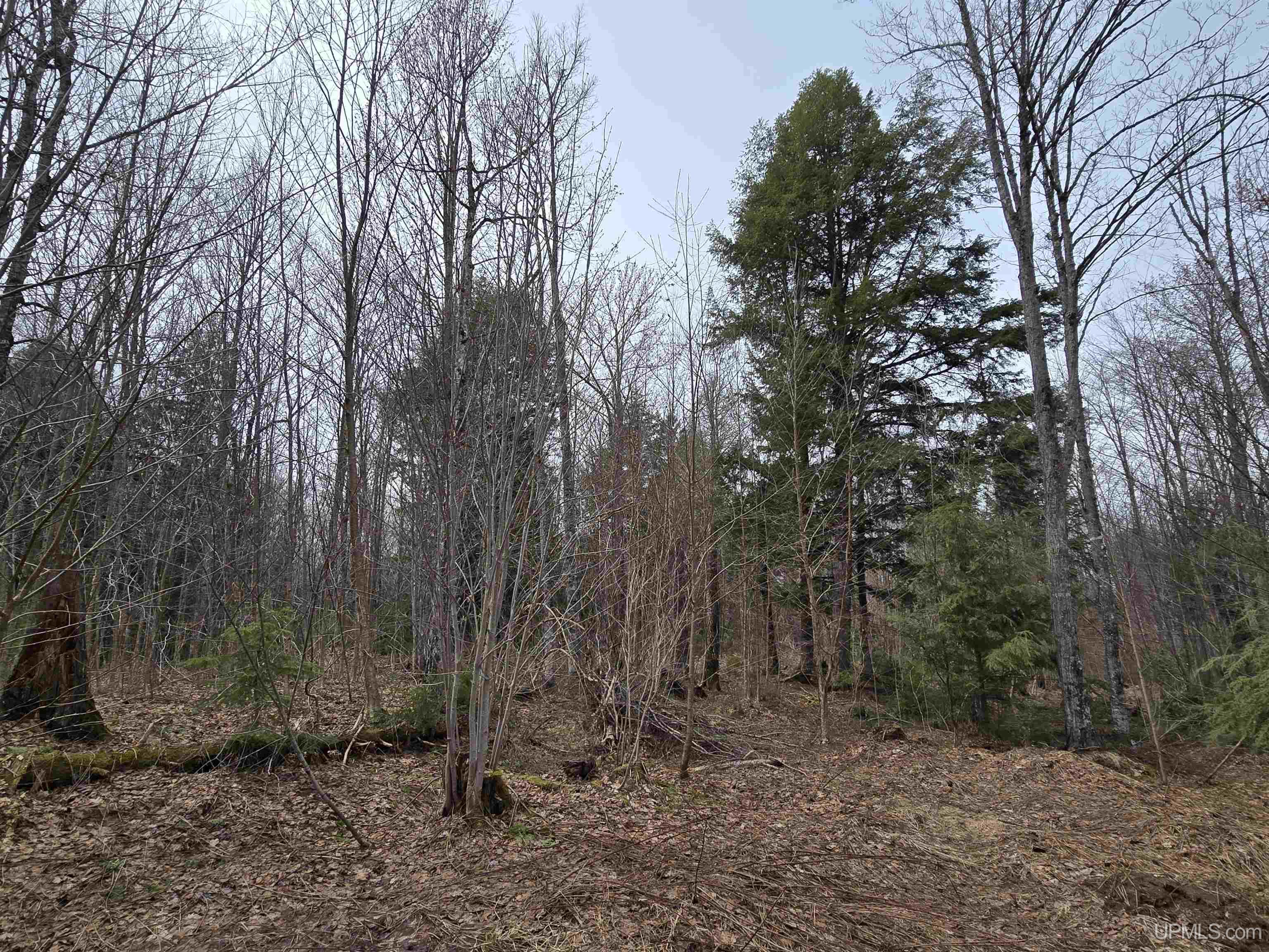 Tbd Orange Road Property Photo 23