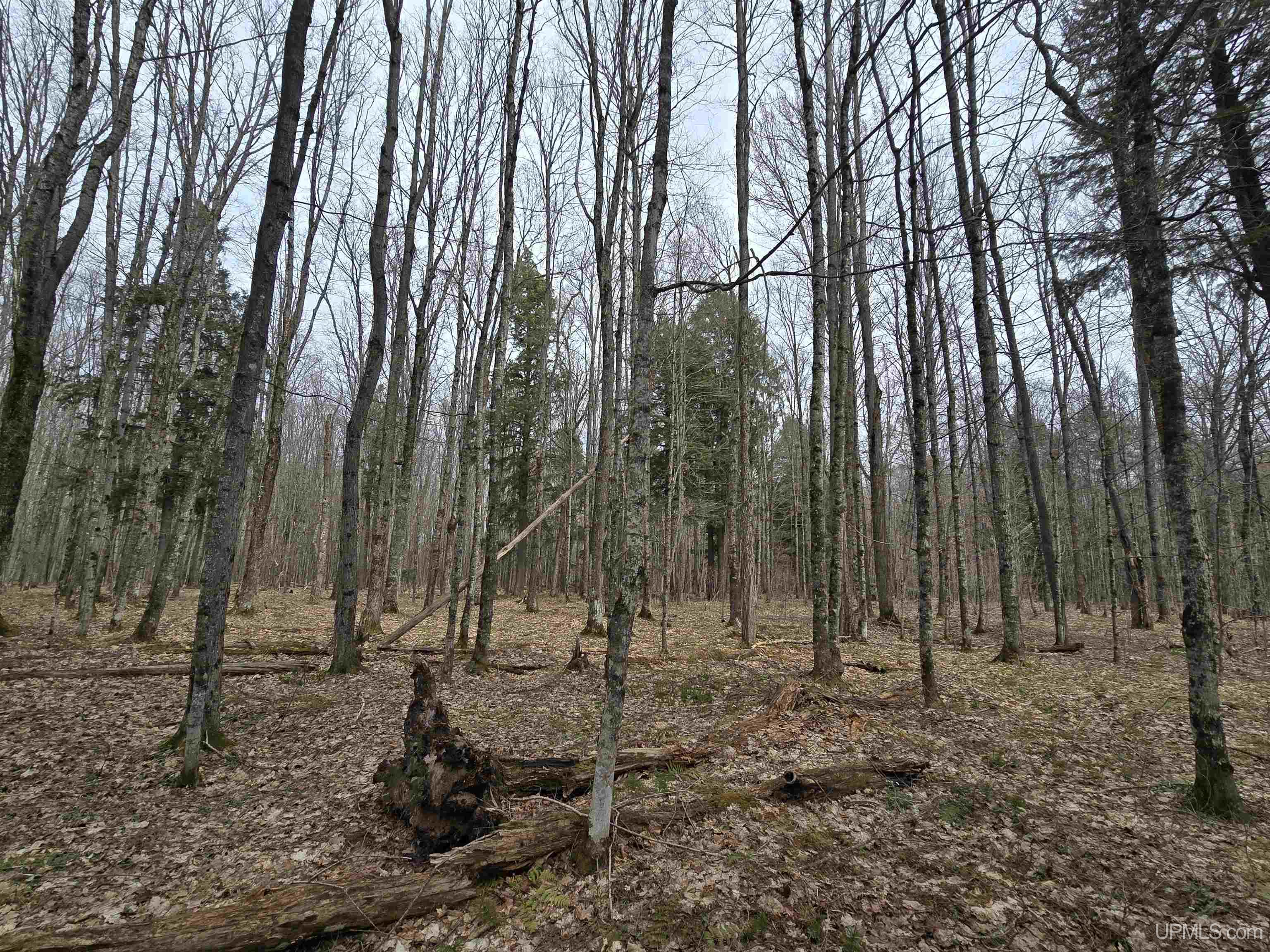 Tbd Orange Road Property Photo 25