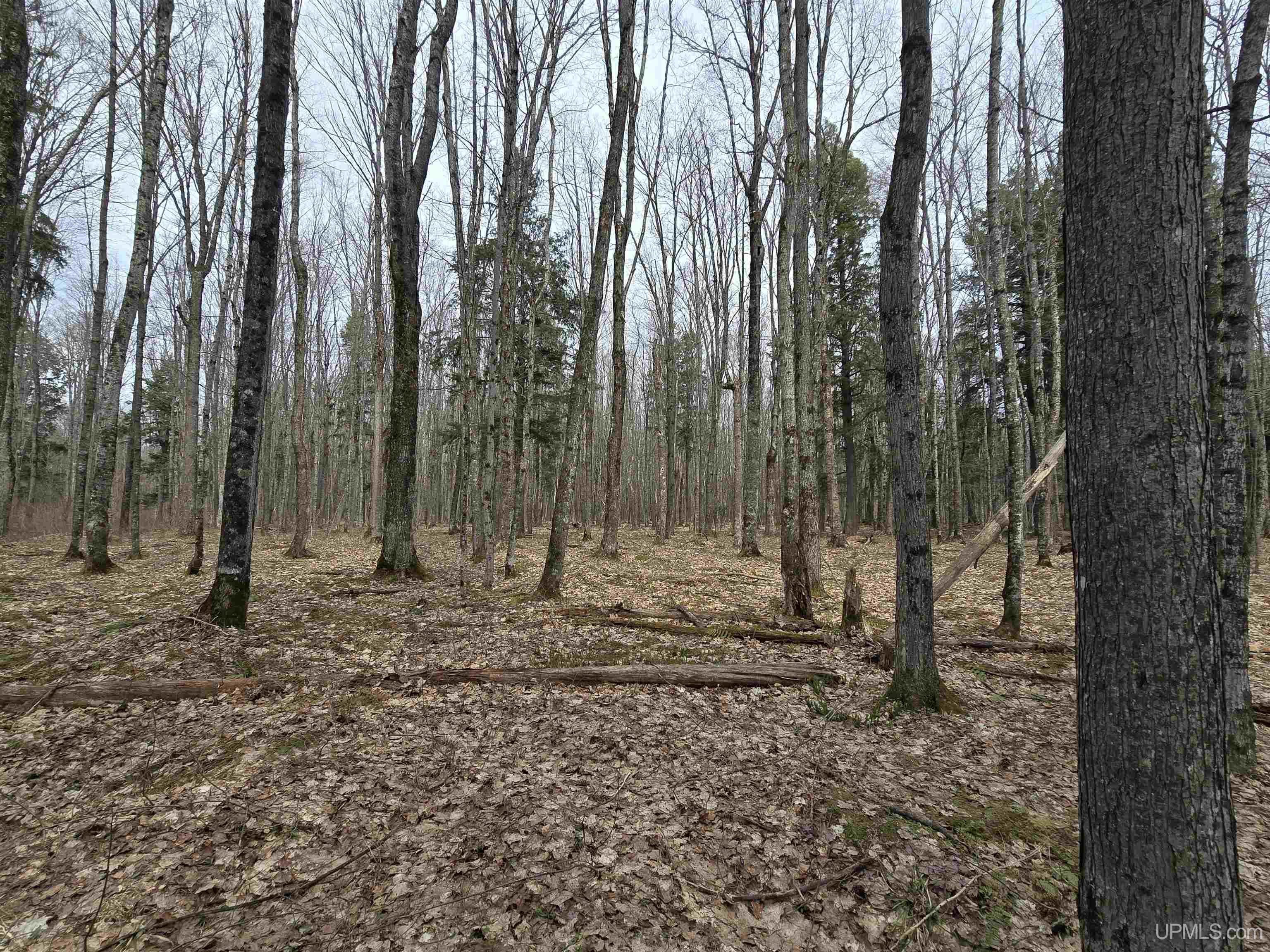 Tbd Orange Road Property Photo 26