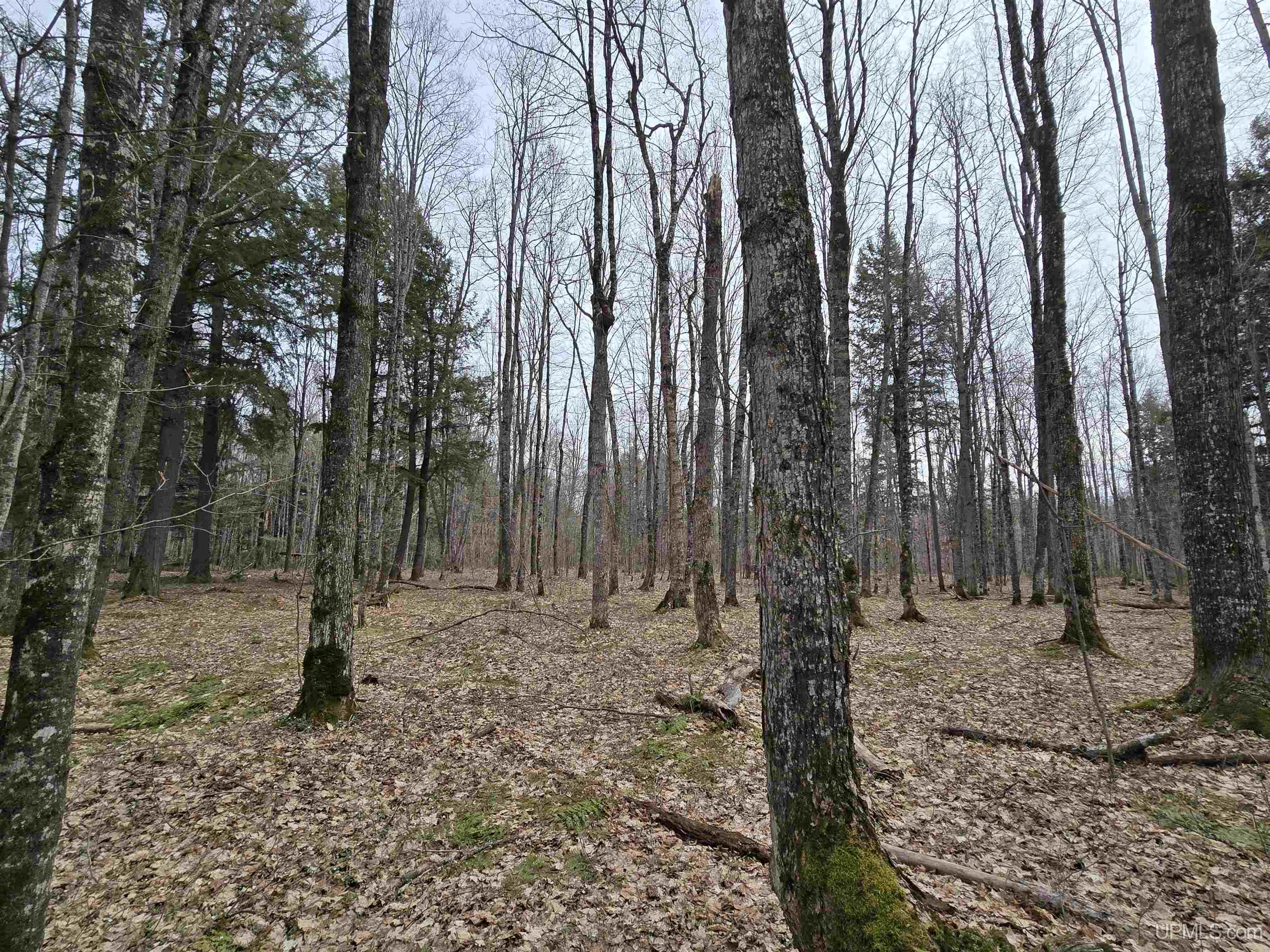 Tbd Orange Road Property Photo 27