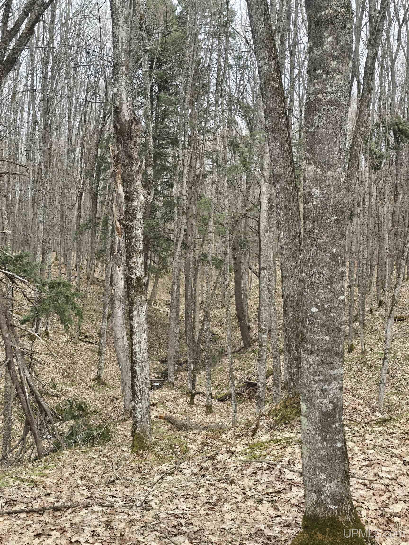 Tbd Orange Road Property Photo 28