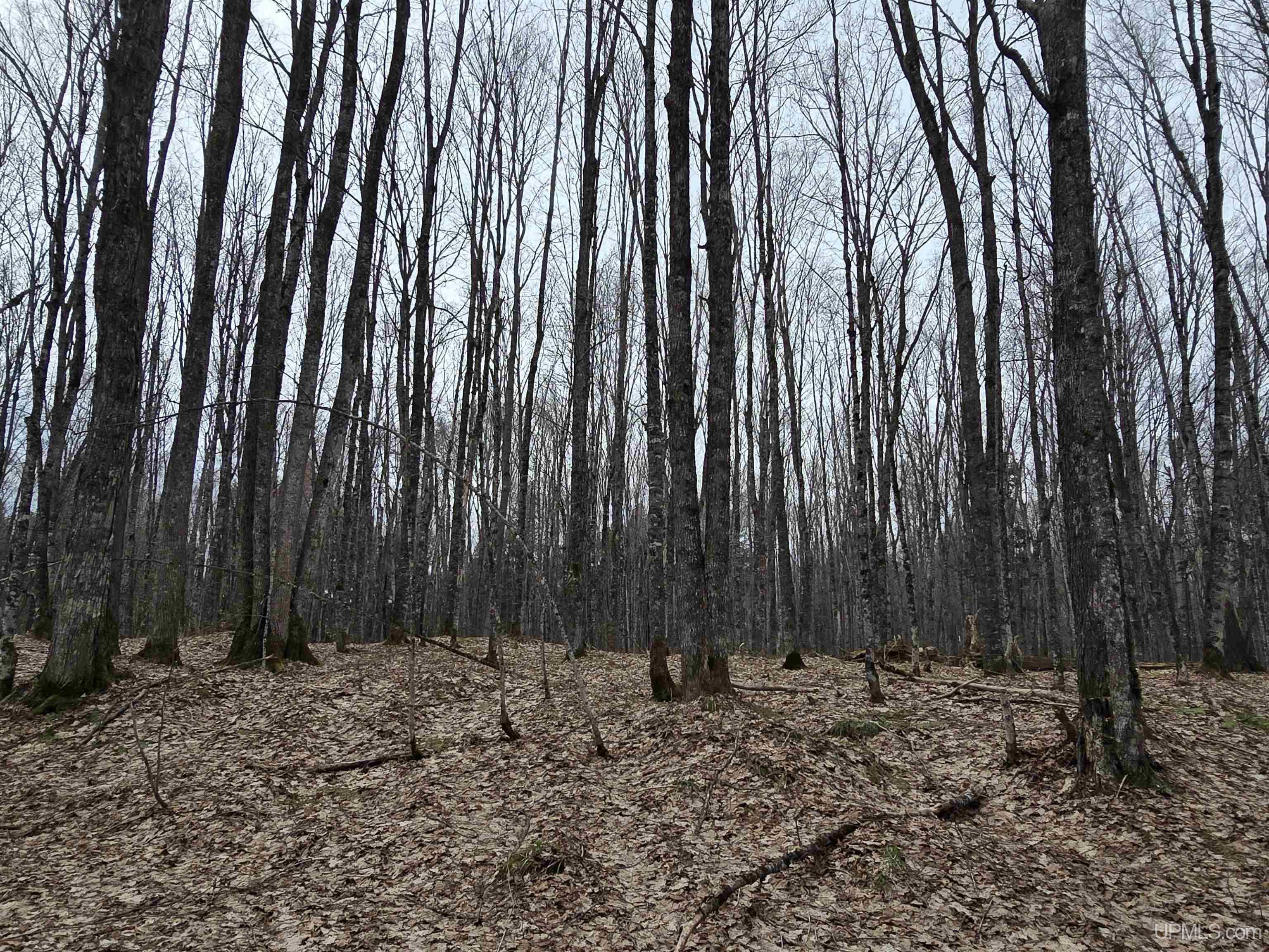 Tbd Orange Road Property Photo 29