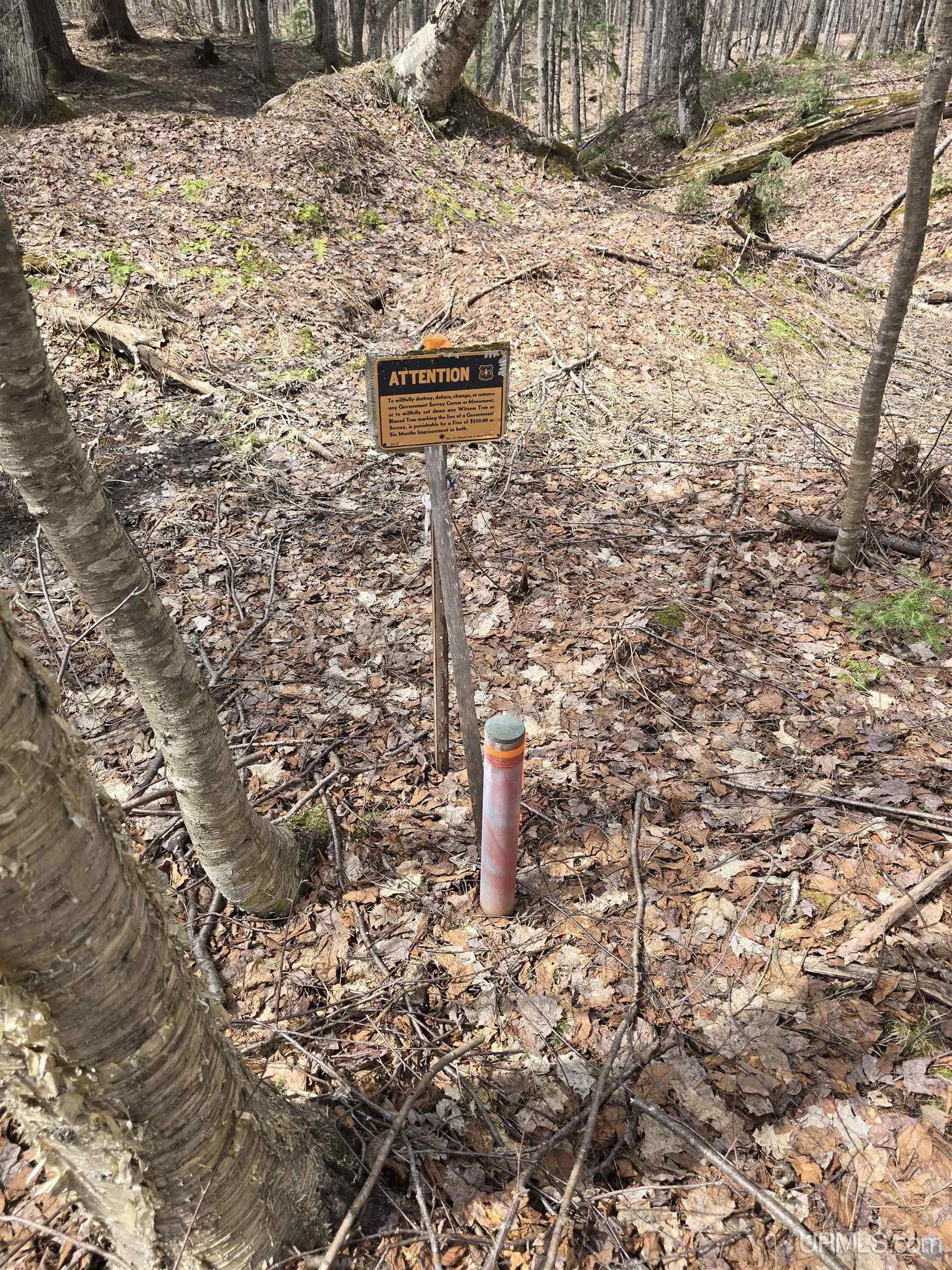 Tbd Orange Road Property Photo 31