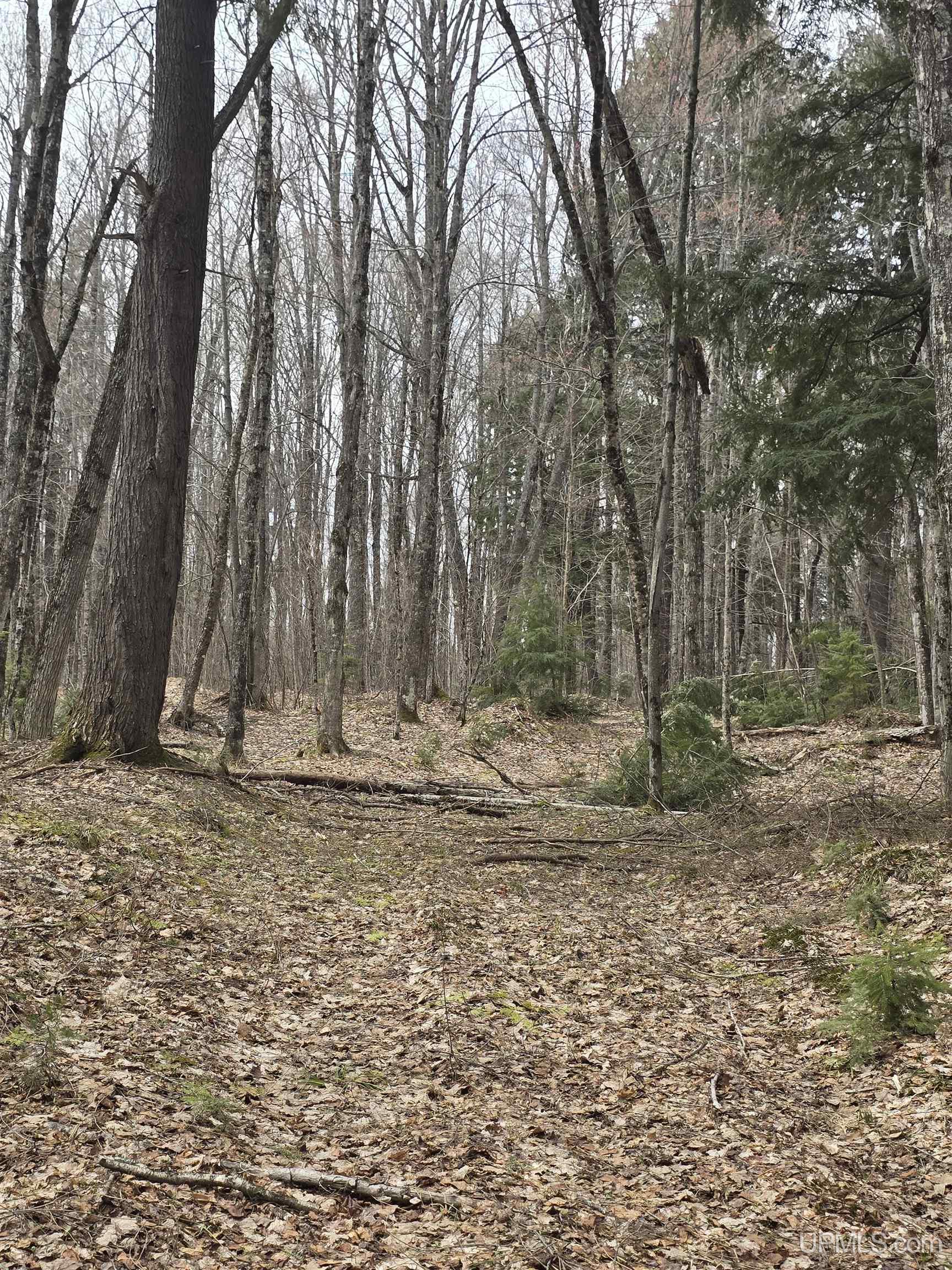 Tbd Orange Road Property Photo 34