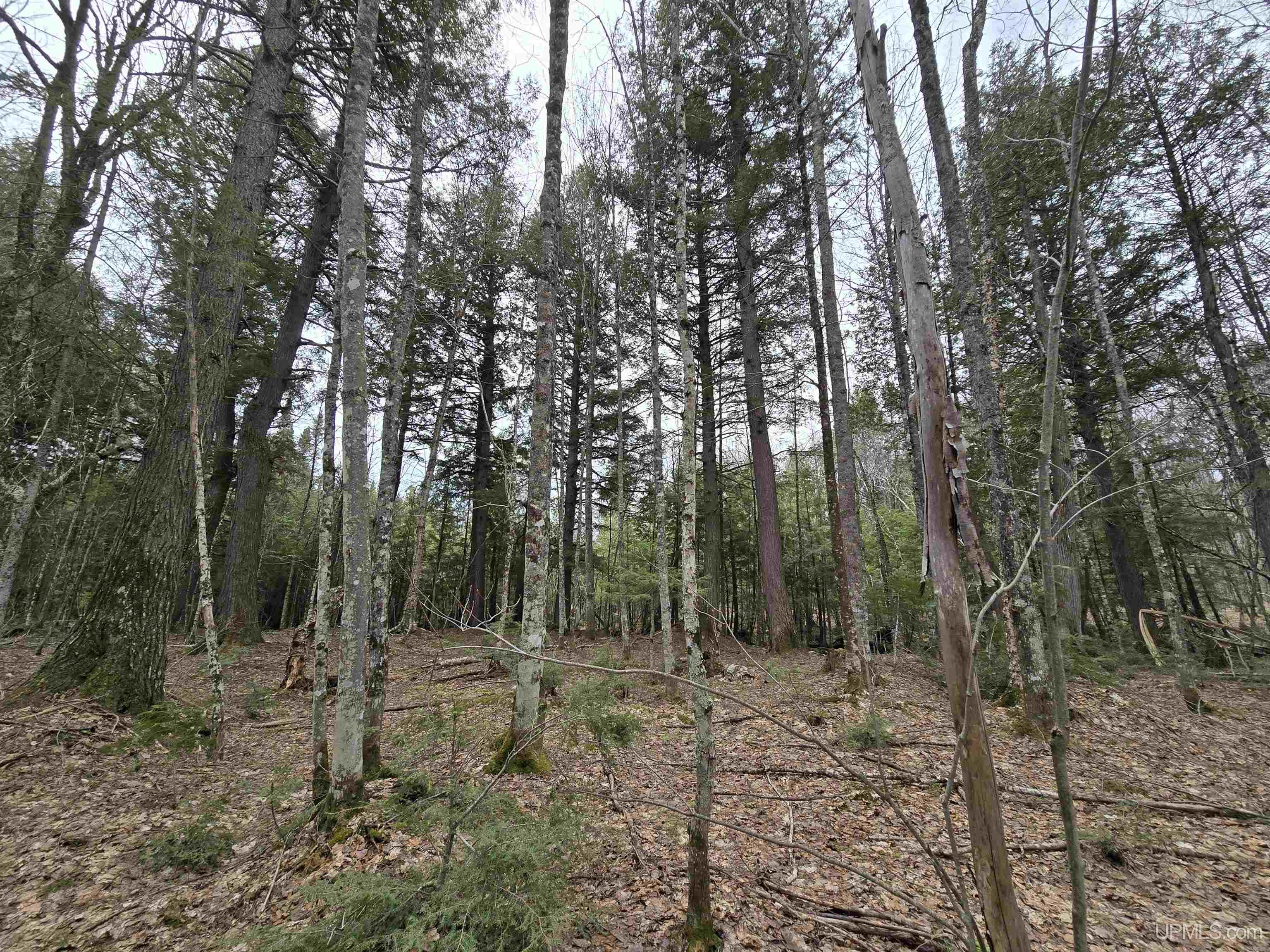 Tbd Orange Road Property Photo 35