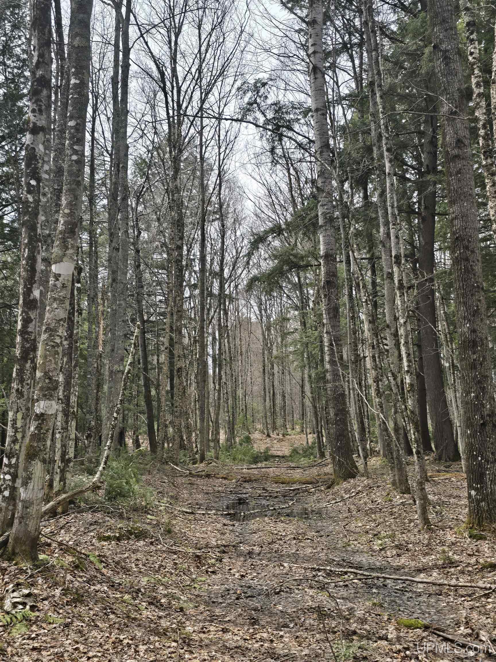 Tbd Orange Road Property Photo 36