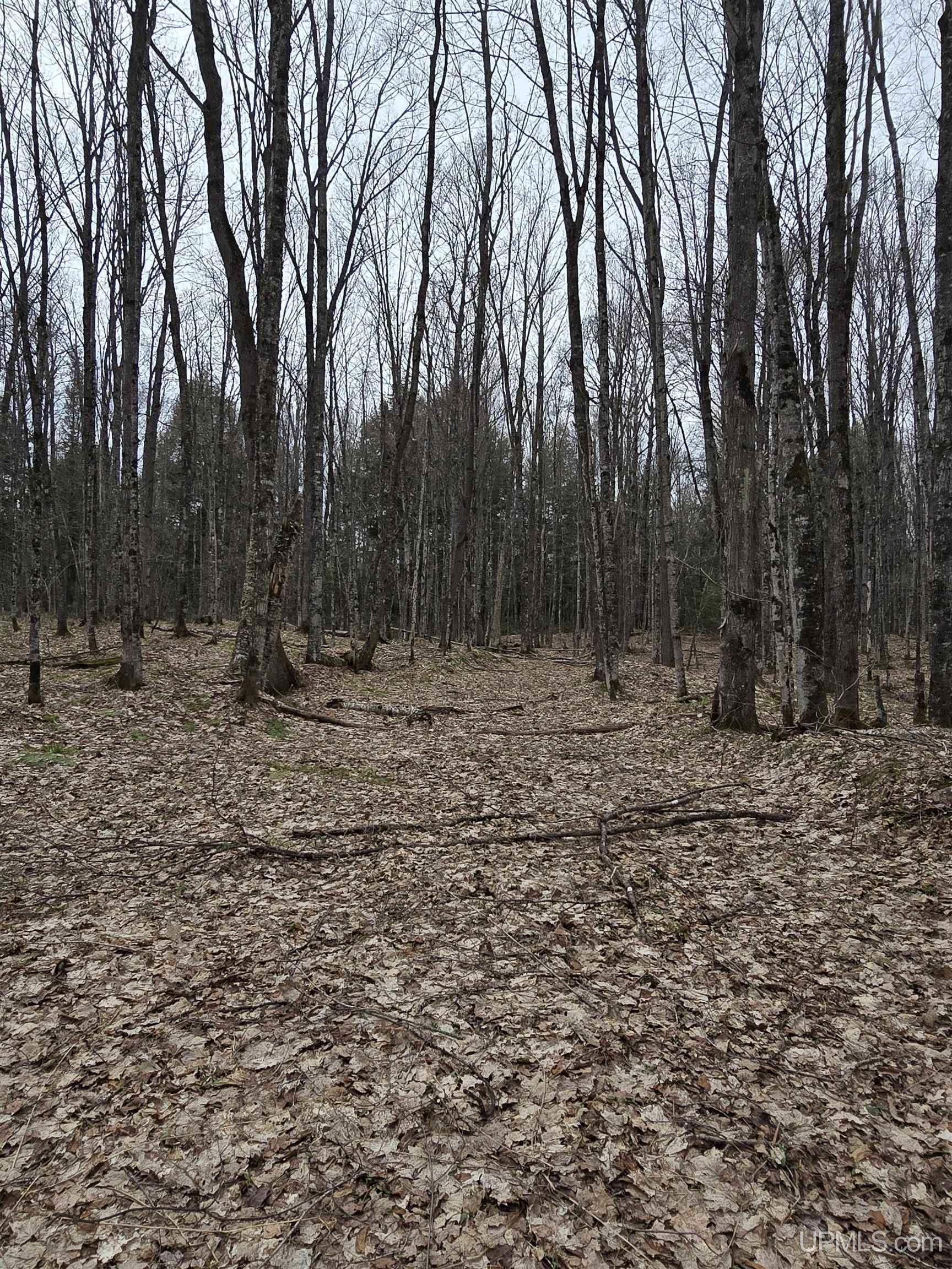 Tbd Orange Road Property Photo 37