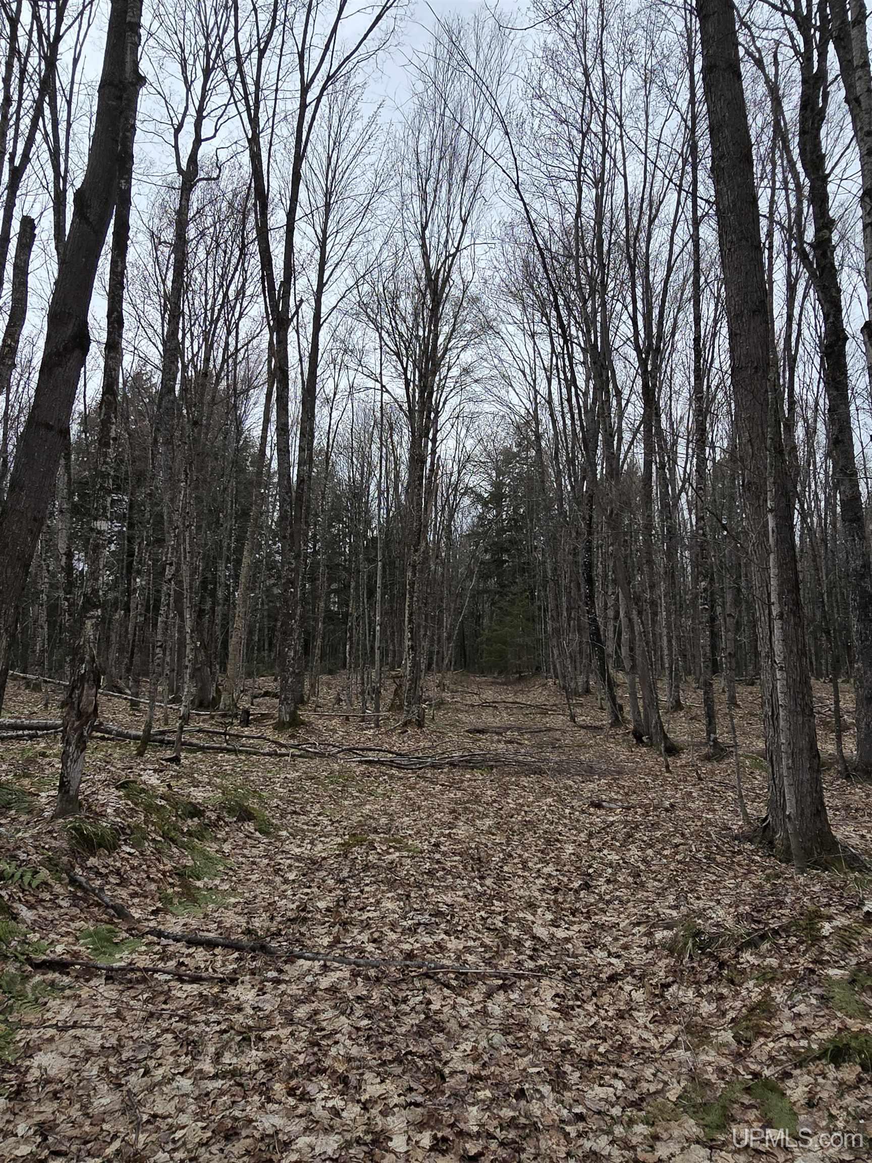 Tbd Orange Road Property Photo 38