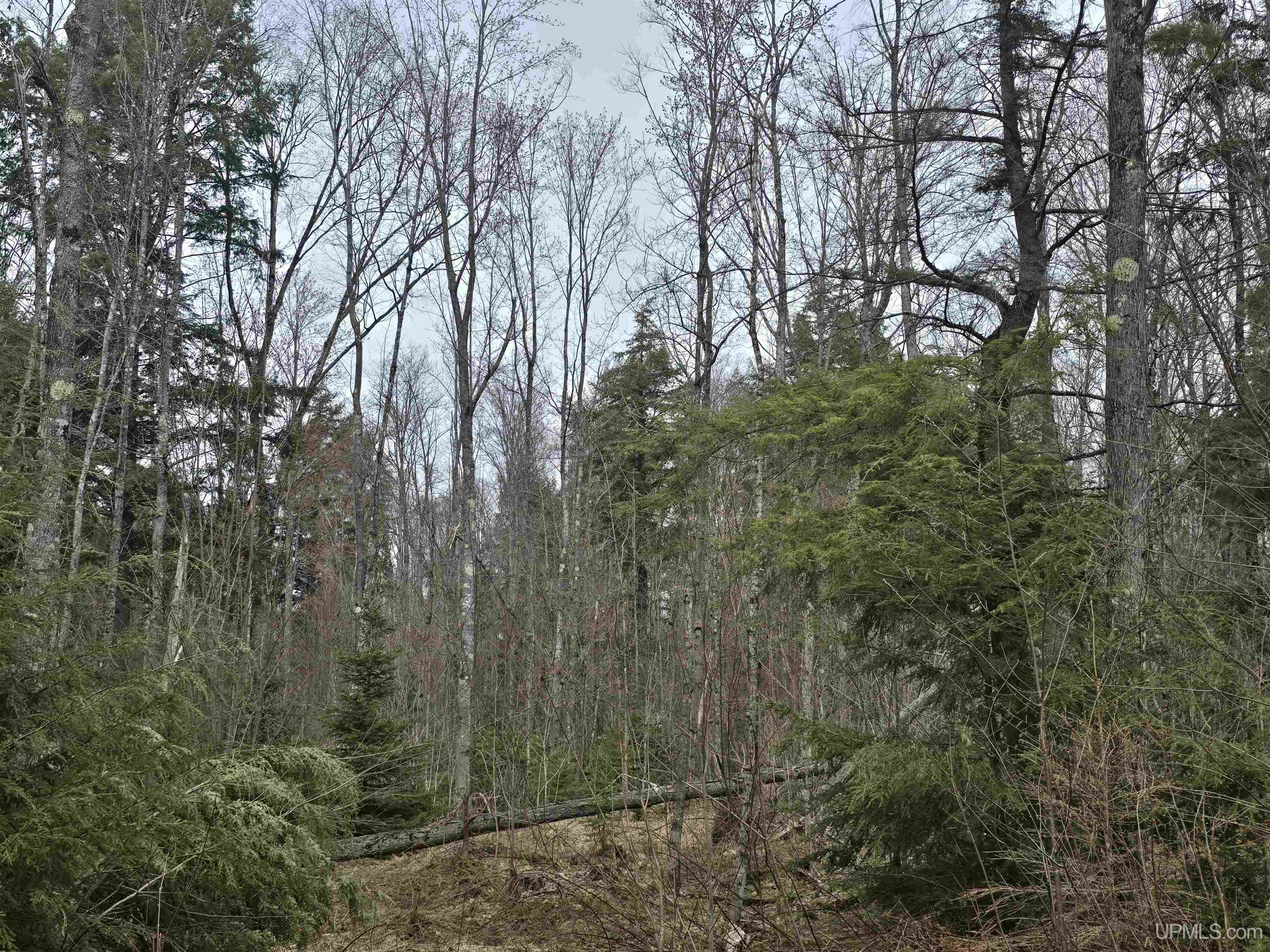 Tbd Orange Road Property Photo 39