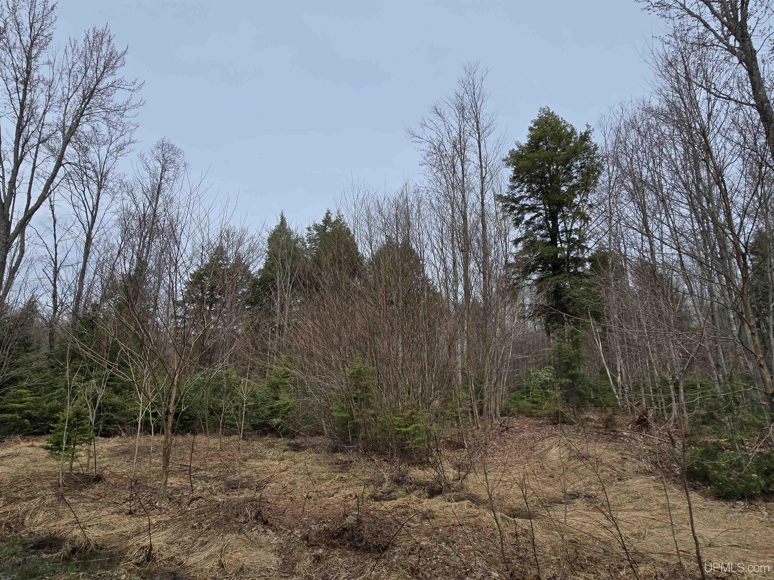 Tbd Orange Road Property Photo 42