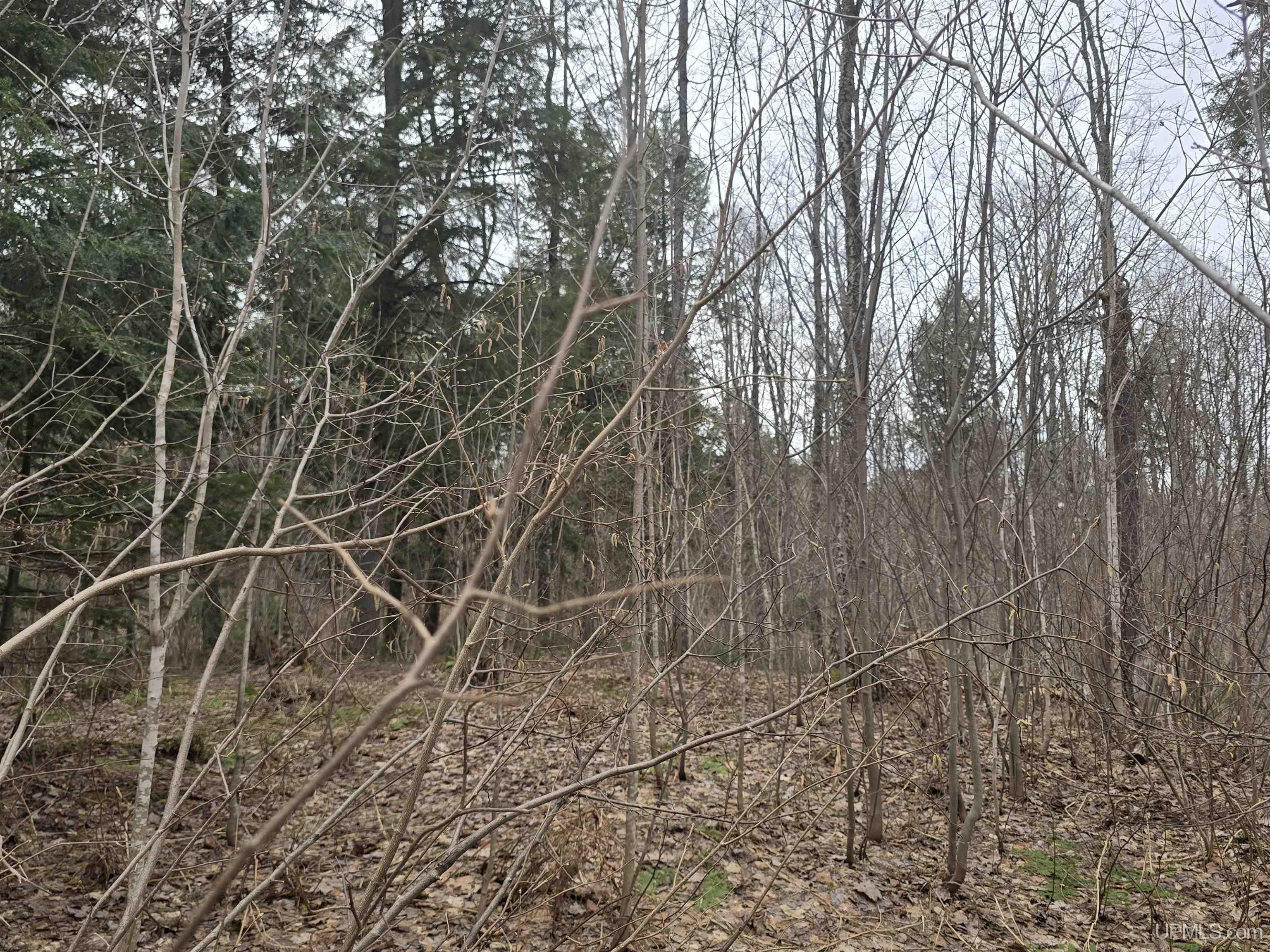 Tbd Orange Road Property Photo 45