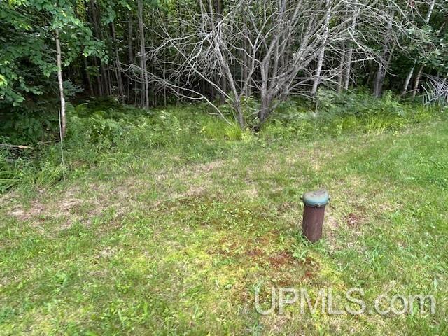 21522 Skanee Road Property Photo 59