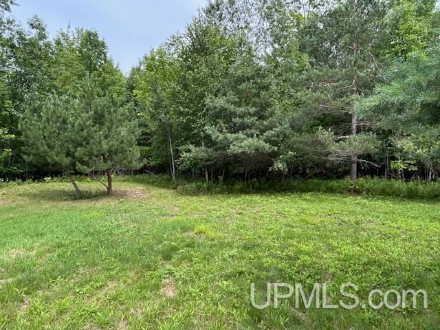 21522 Skanee Road Property Photo 62
