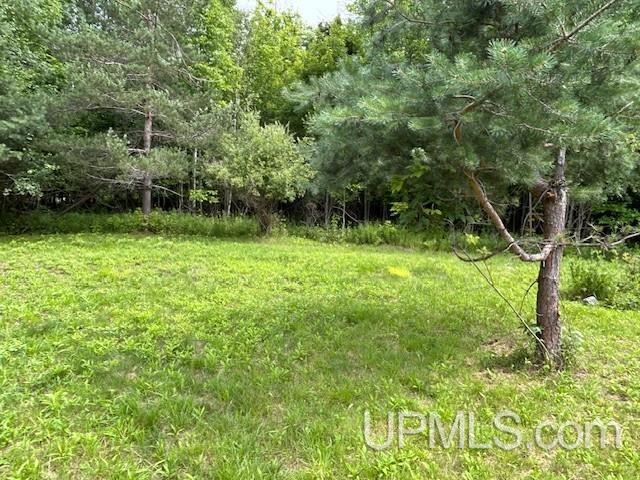 21522 Skanee Road Property Photo 63