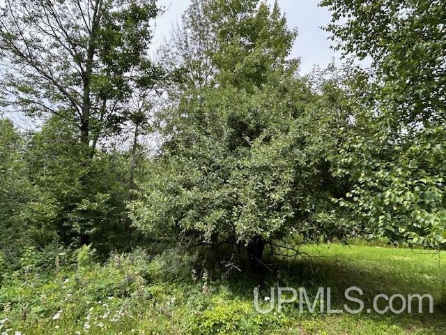 21522 Skanee Road Property Photo 64