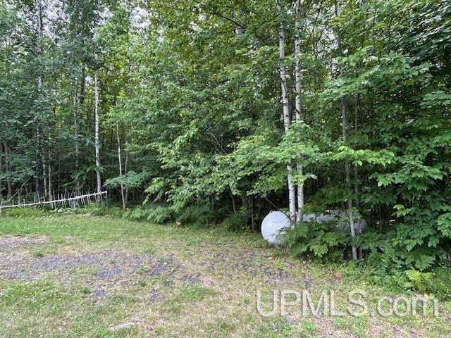21522 Skanee Road Property Photo 65