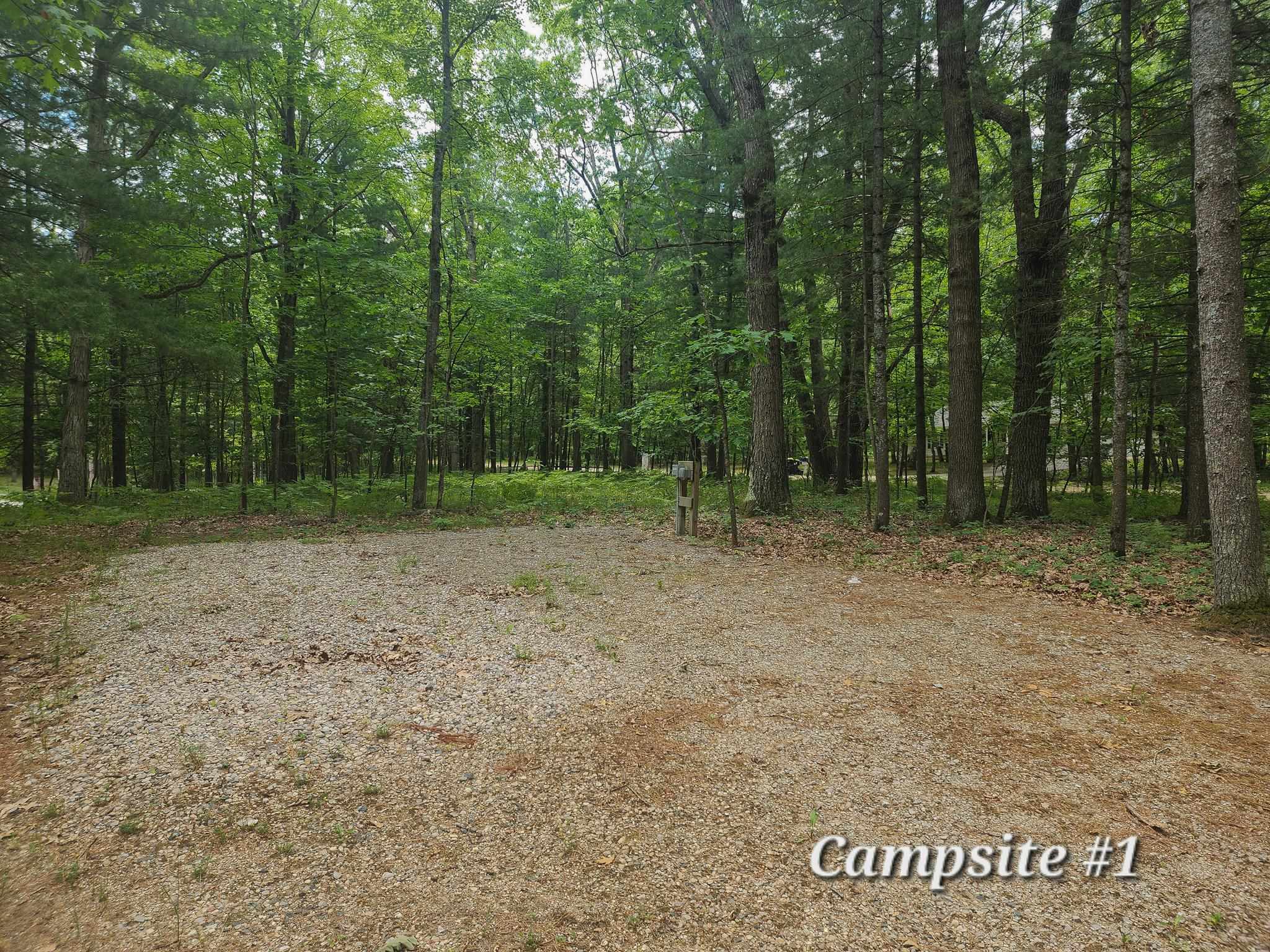 4537 Pine Run Road Property Photo 6