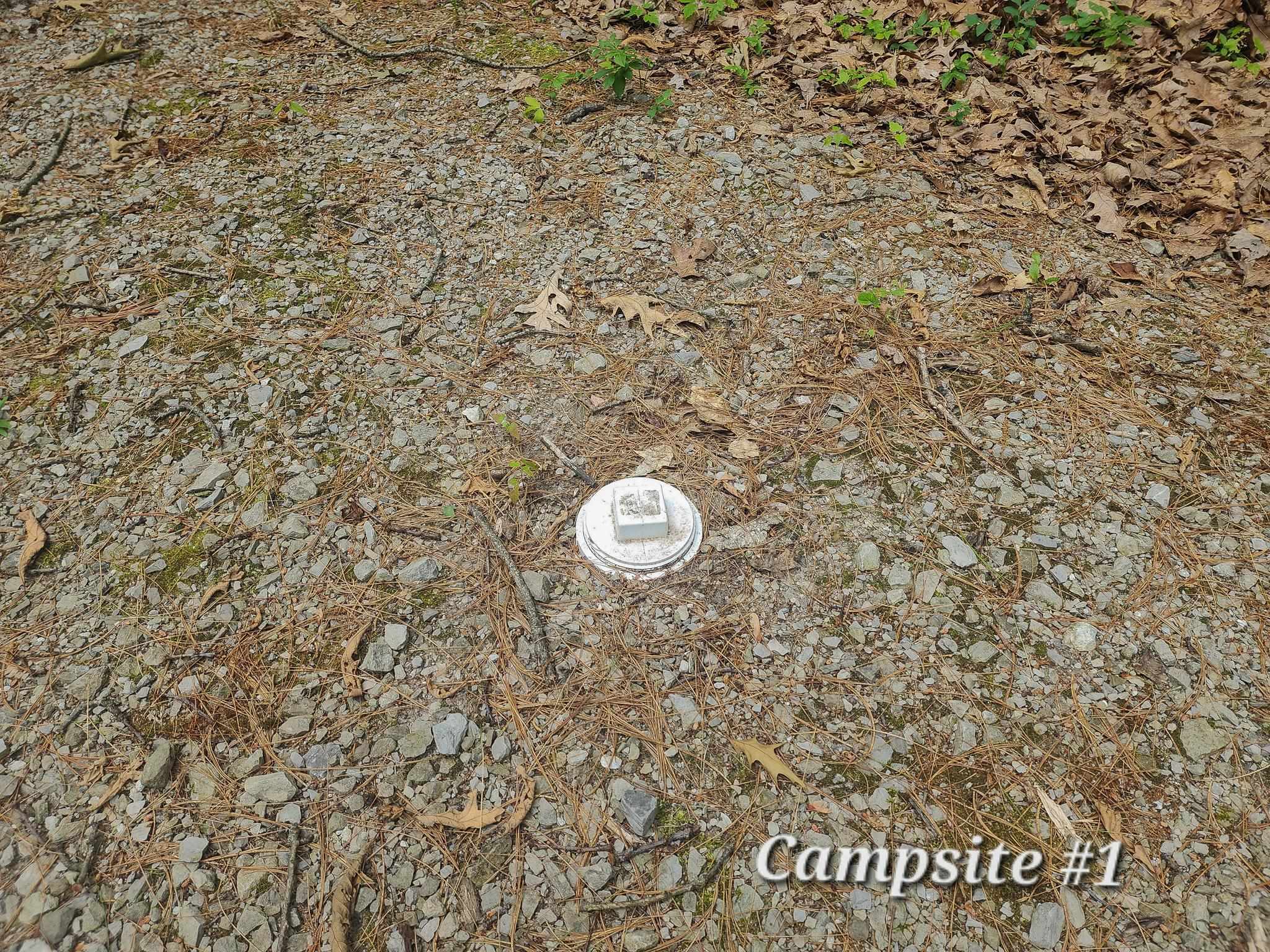 4537 Pine Run Road Property Photo 7