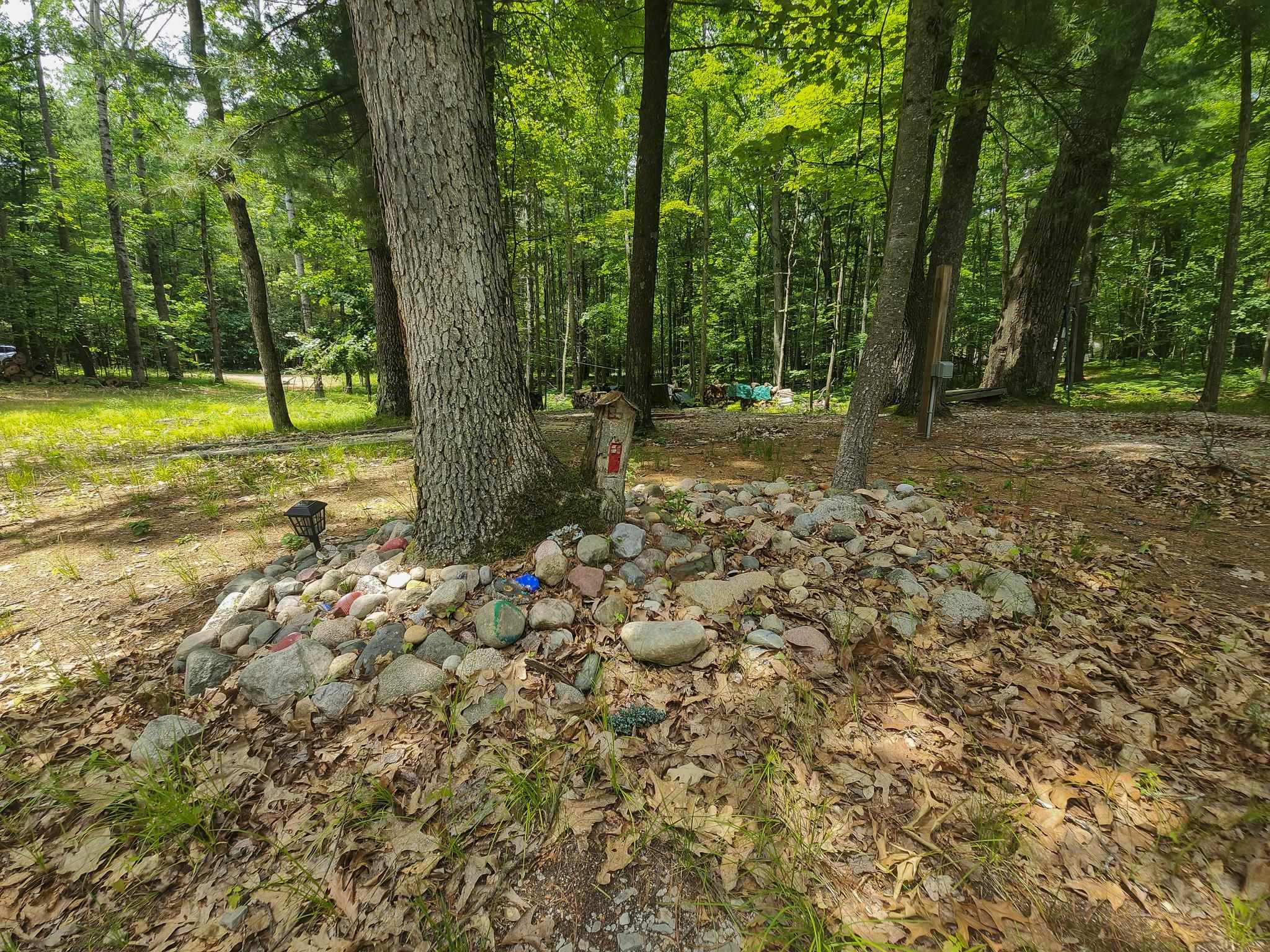 4537 Pine Run Road Property Photo 26